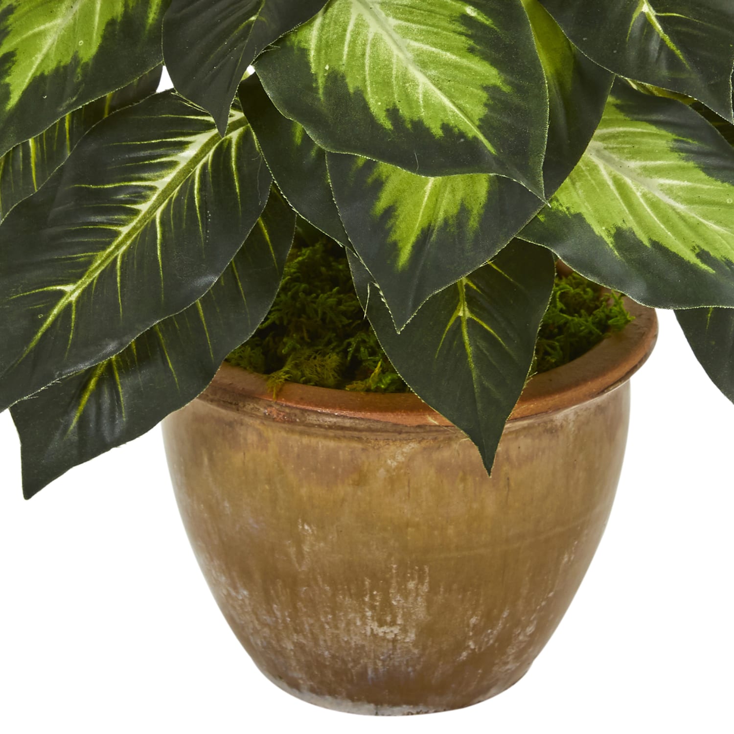 Nearly Natural 18inH Dieffenbachia Artificial Plant With Ceramic Planter, 18inH x 16inW x 16inD, Tan/Green - Image 4