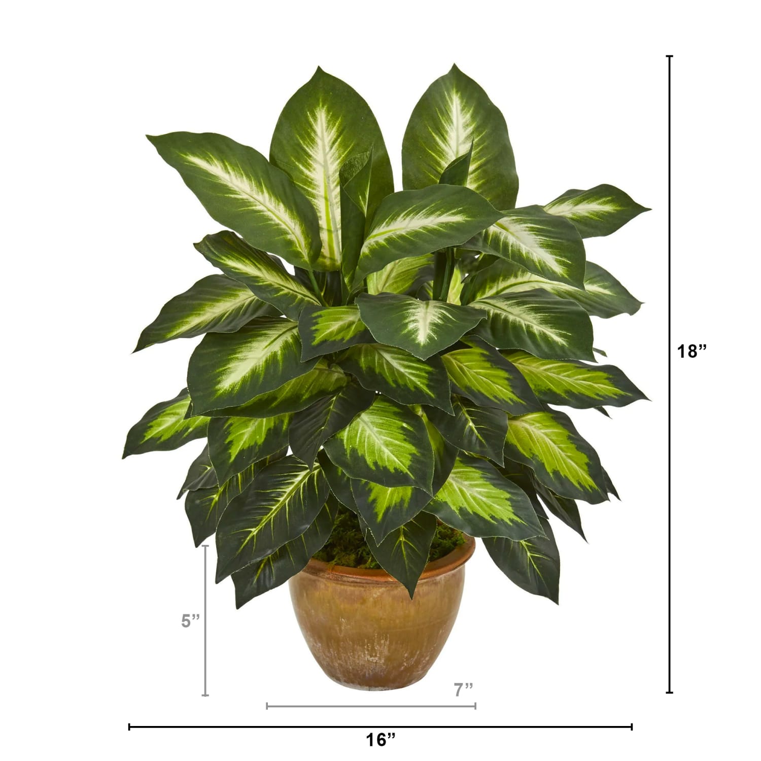 Nearly Natural 18inH Dieffenbachia Artificial Plant With Ceramic Planter, 18inH x 16inW x 16inD, Tan/Green - Image 5