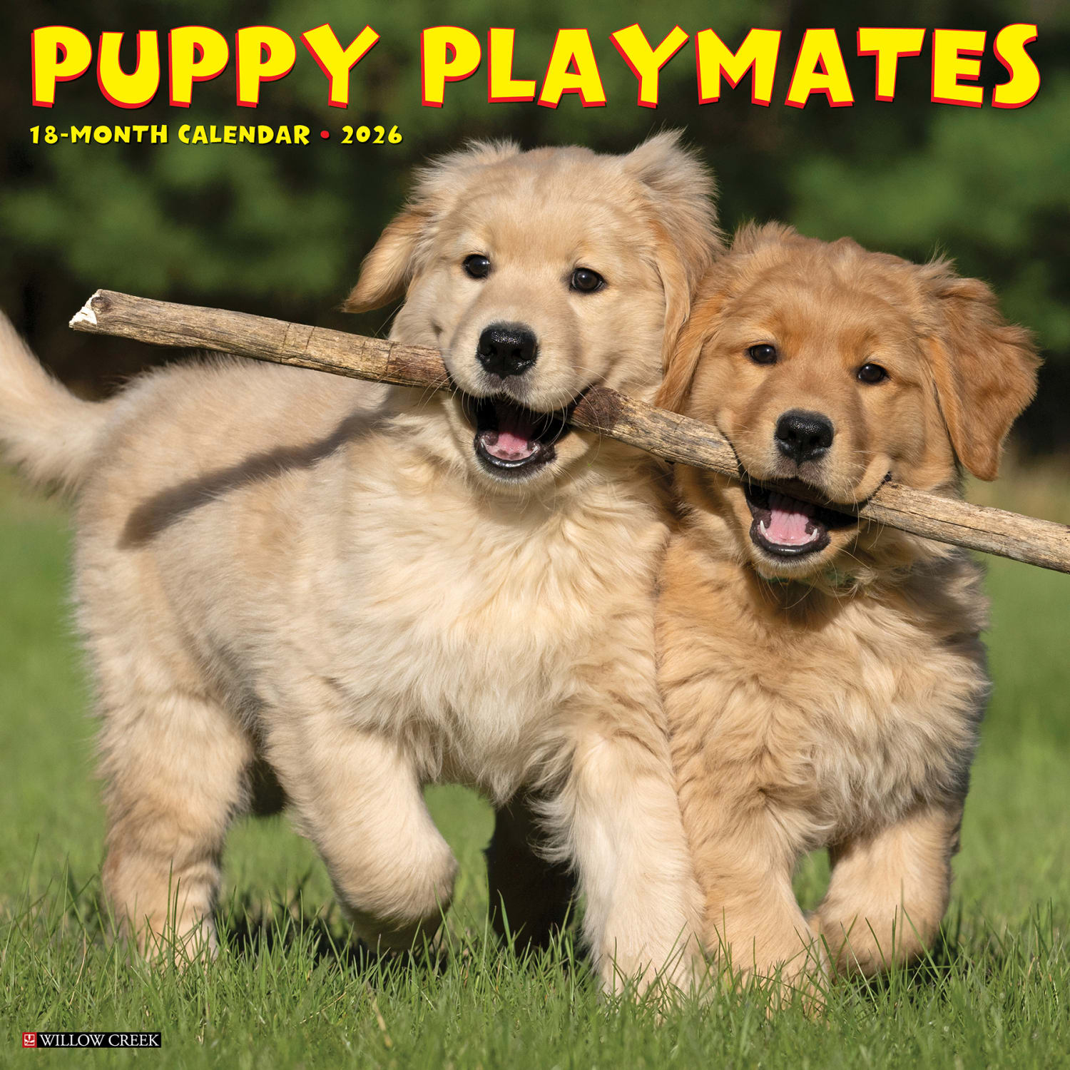 2026 Willow Creek Press Animals Monthly Wall Calendar, 12in x 12in, Puppy Playmates, January To December, 52525 - Image 3