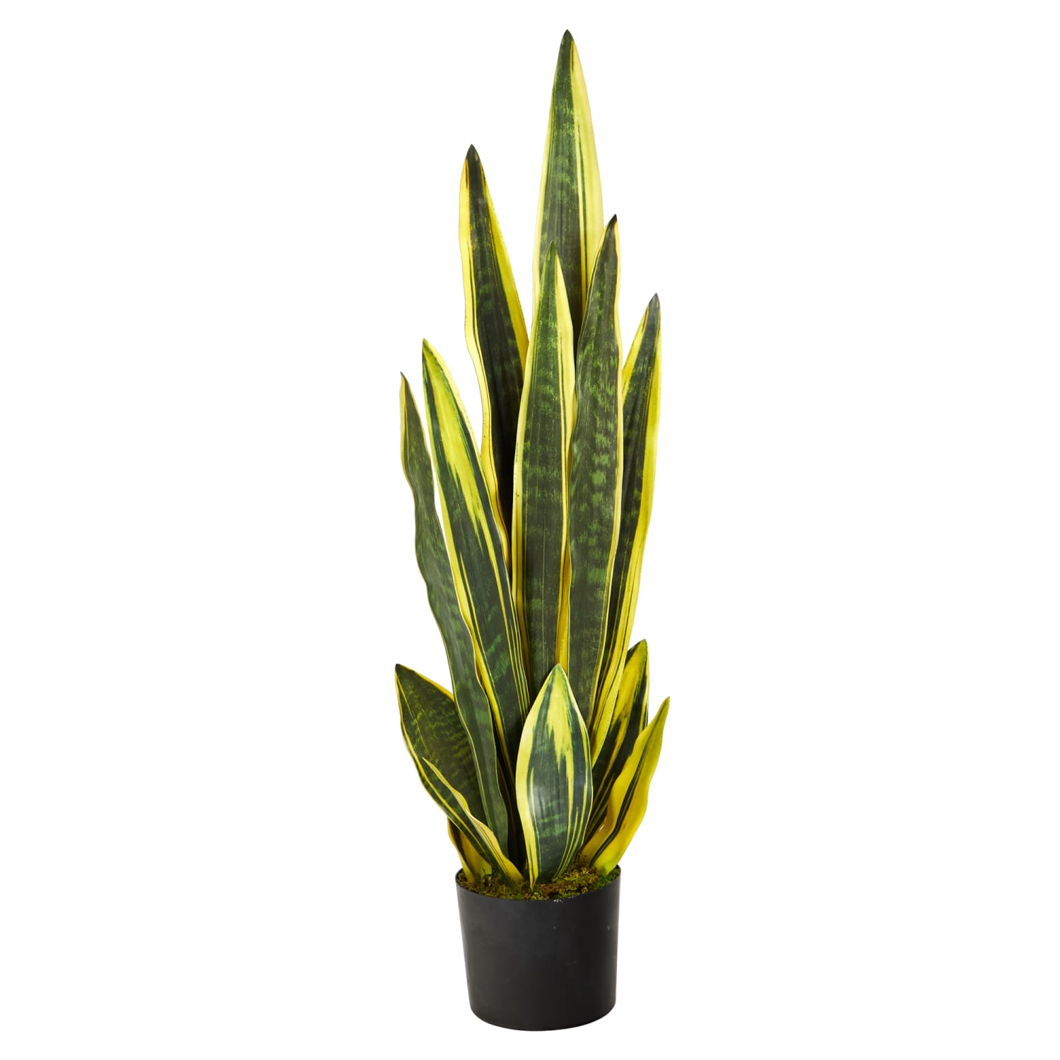Nearly Natural Sansevieria 38inH Artificial Plant With Planter, 38inH x 10inW x 10inD, Green/Black