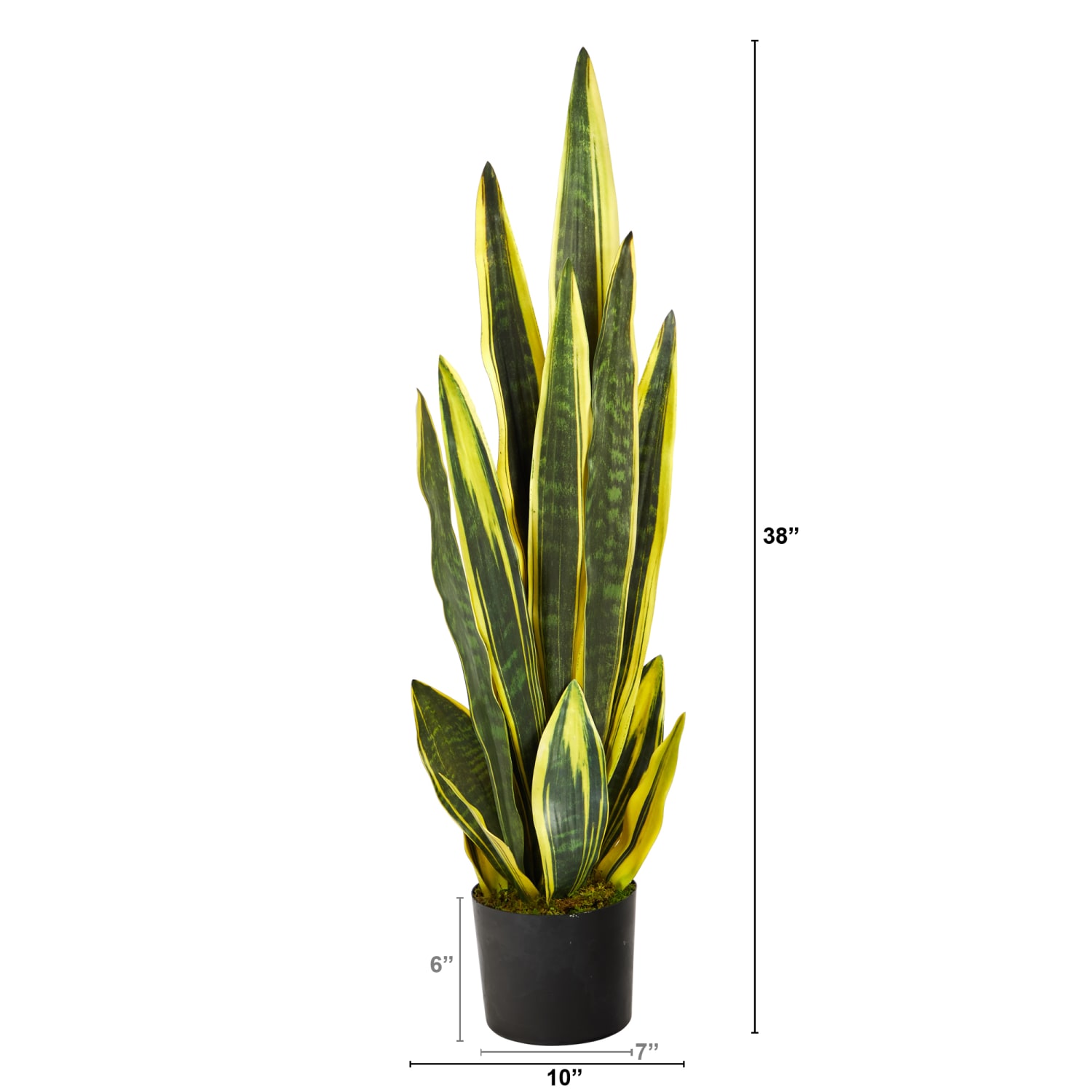 Nearly Natural Sansevieria 38inH Artificial Plant With Planter, 38inH x 10inW x 10inD, Green/Black - Image 3