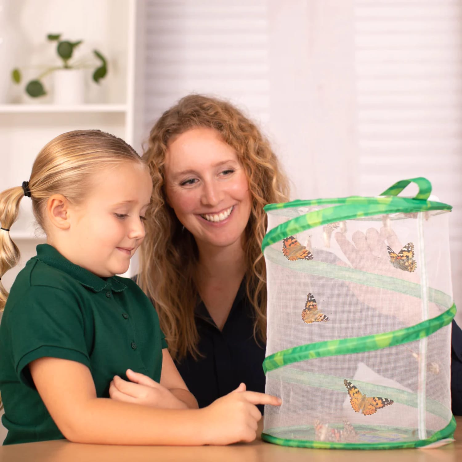 Insect Lore Butterfly Garden - Image 6