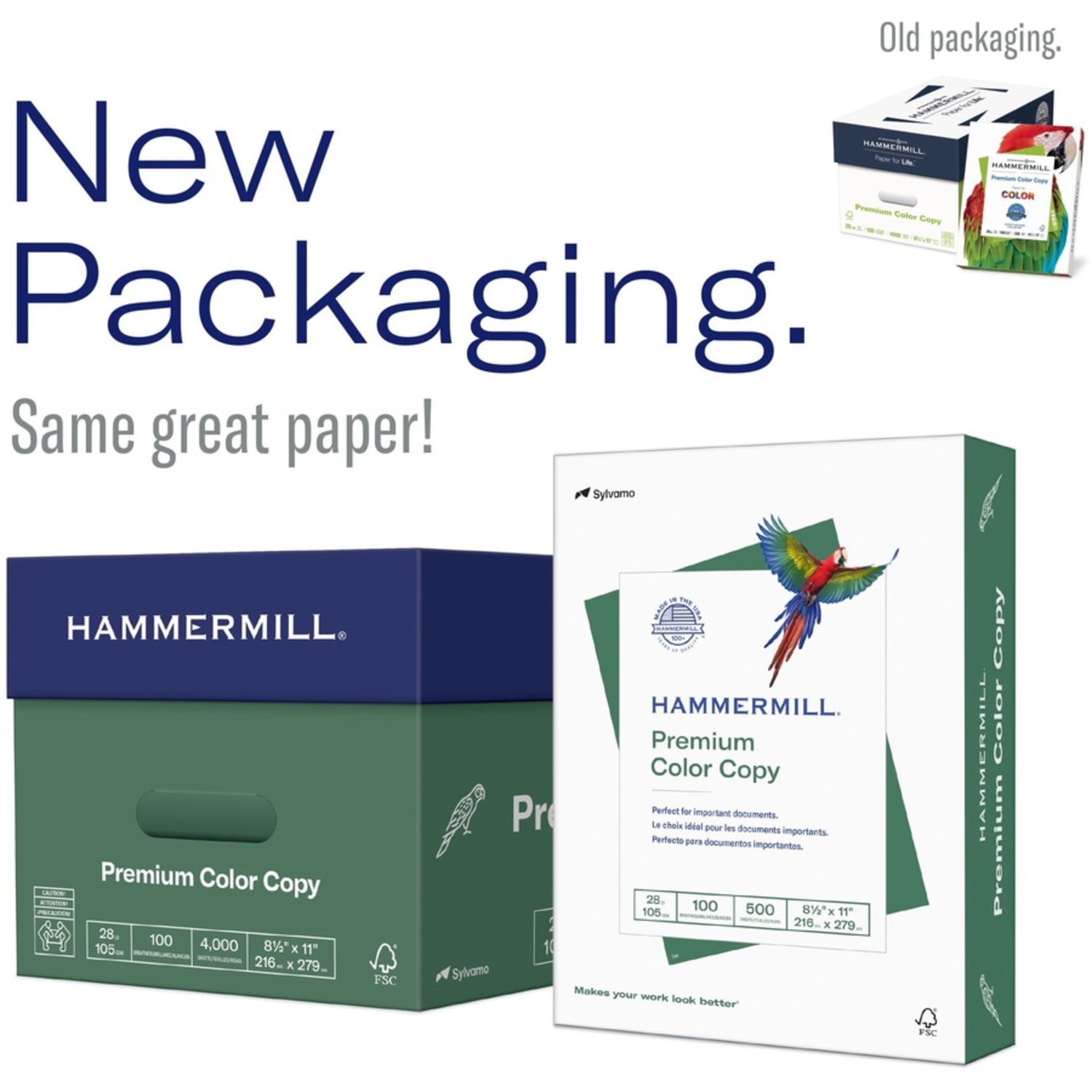 Hammermill Color Multi-Use Printer & Copy Paper, 1 Ream, White, Ledger (11in x 17in), 500 Sheets Per Ream, 28 Lb, 100 Brightness - Image 6