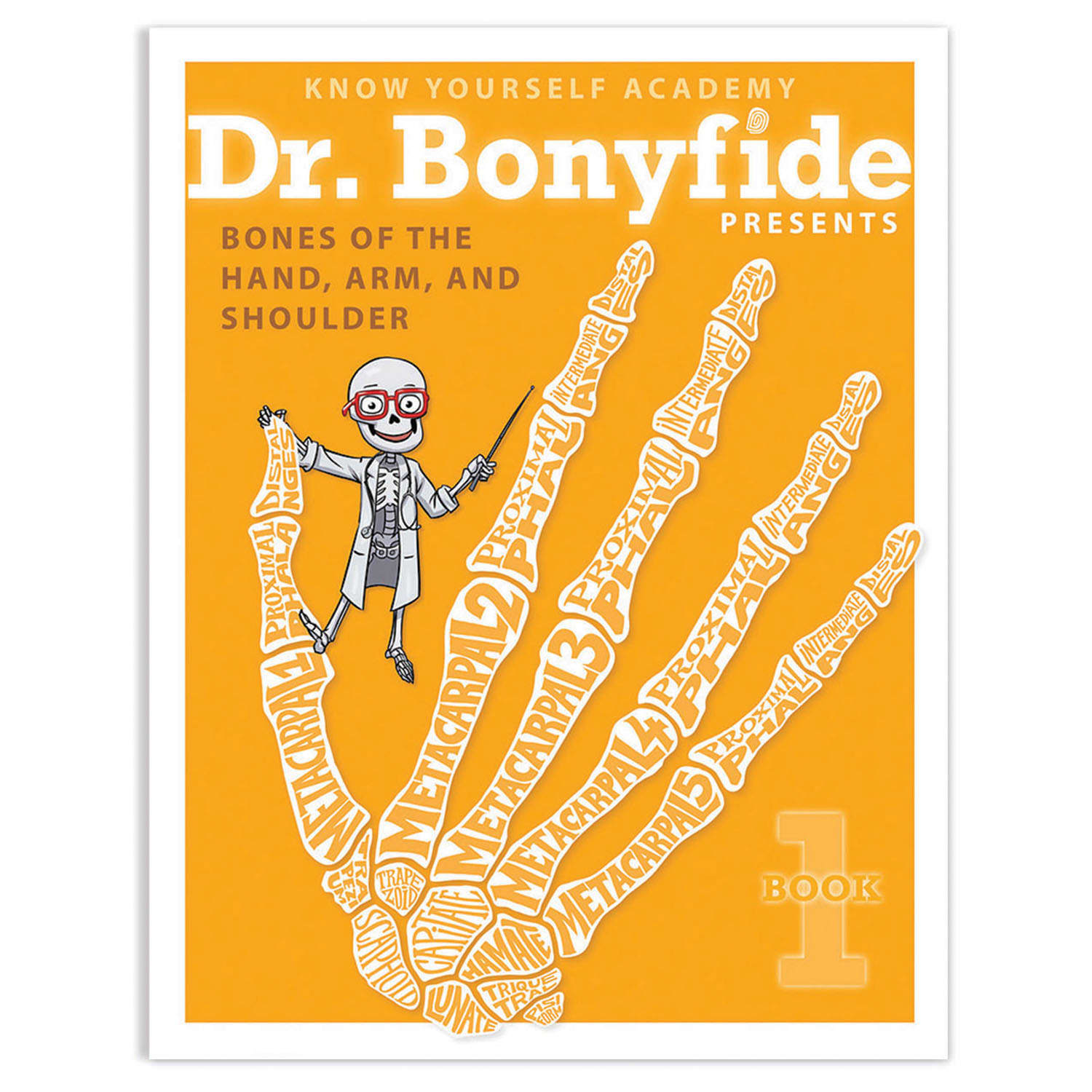 Know Yourself Book Set, Dr. Bonyfide Presents 206 Bones of the Human Body, Set Of 4 Books - Image 4