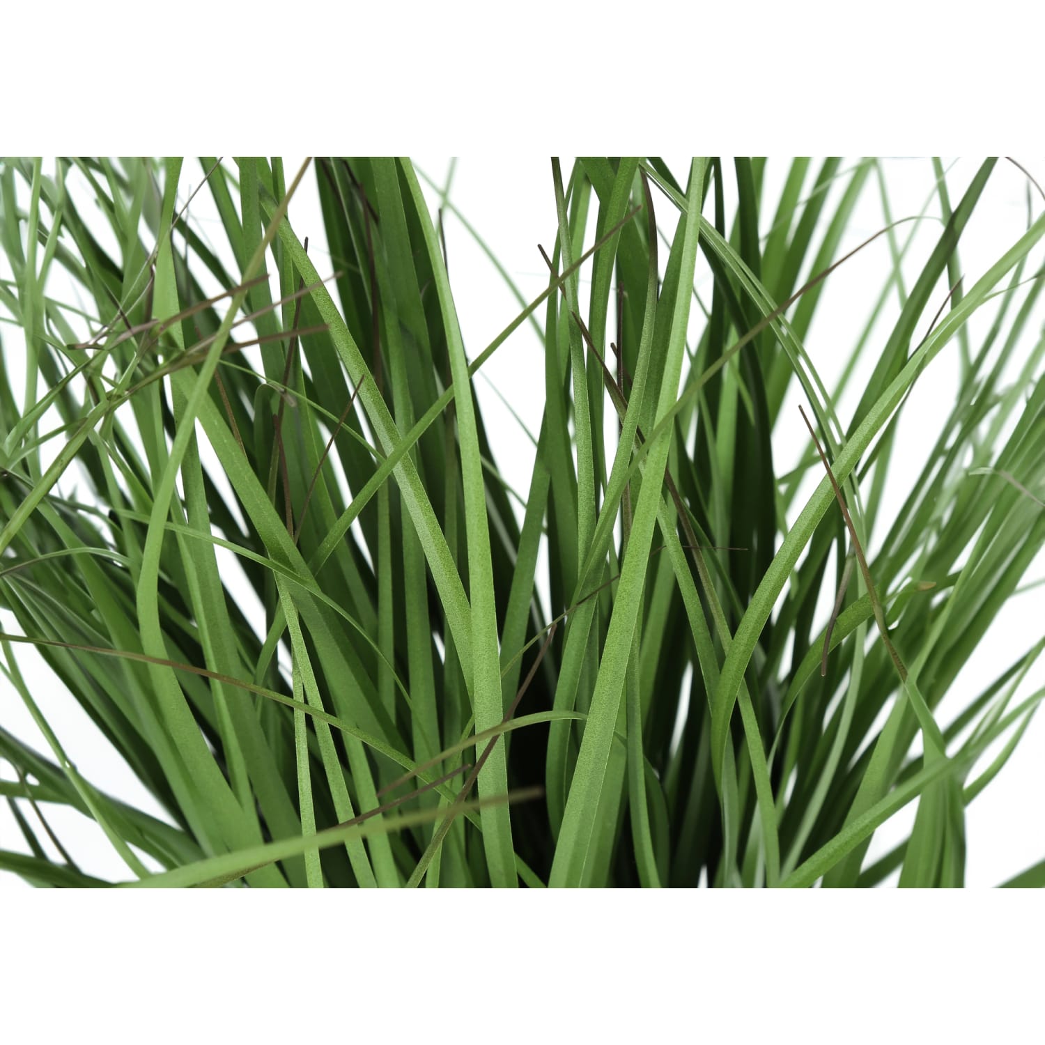 Monarch Specialties Kyle 22-1/2inH Artificial Plant With Pot, 22-1/2inH x 22inW x 22inD, Green - Image 5
