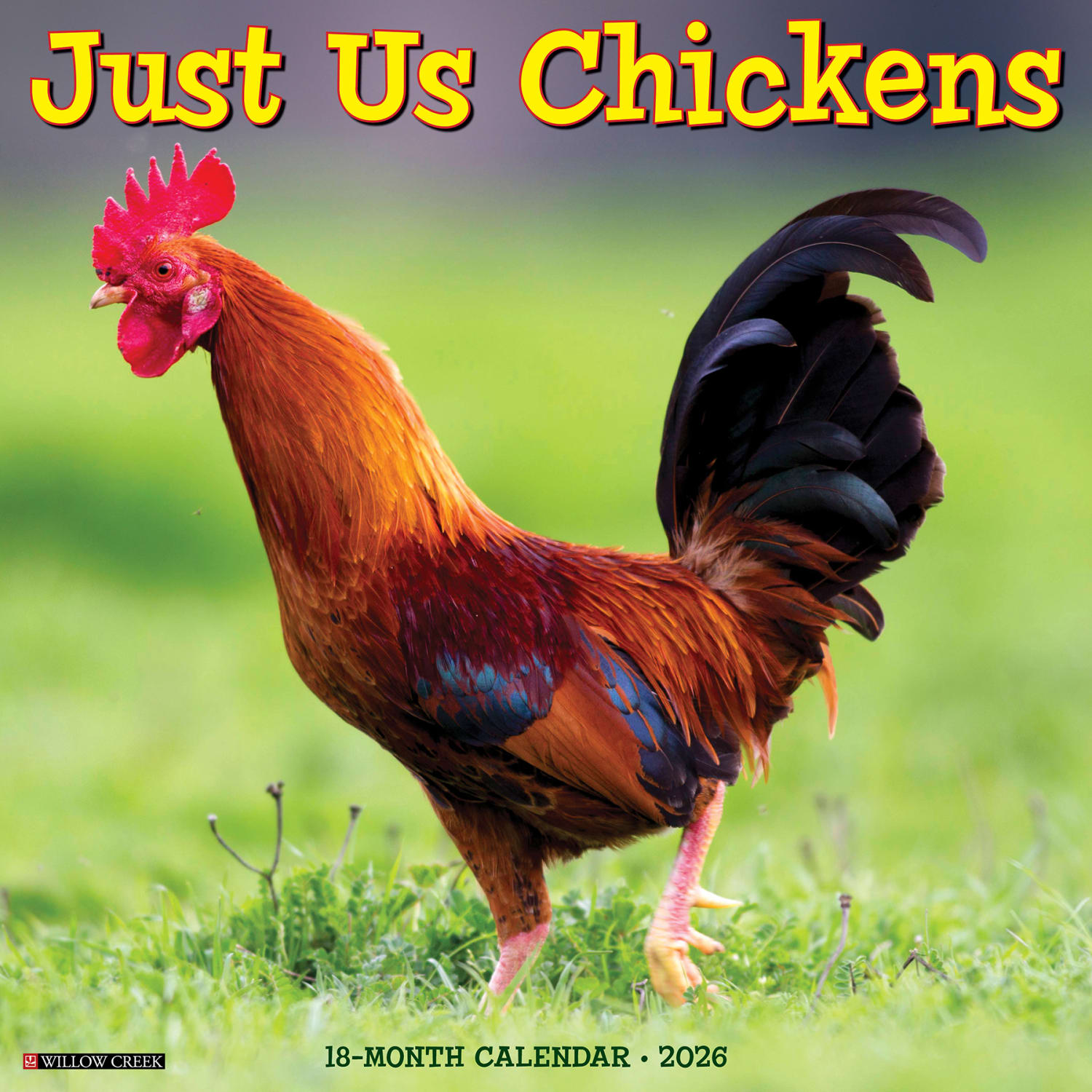 2026 Willow Creek Press Animals Monthly Wall Calendar, 12in x 12in, Just Us Chickens, January To December, 51658 - Image 3