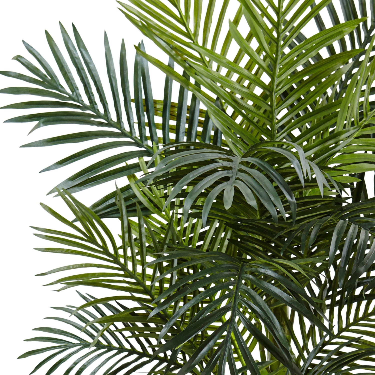 Nearly Natural Golden Cane Palm 54in Artificial Tree With Oval Planter, Green/White - Image 3