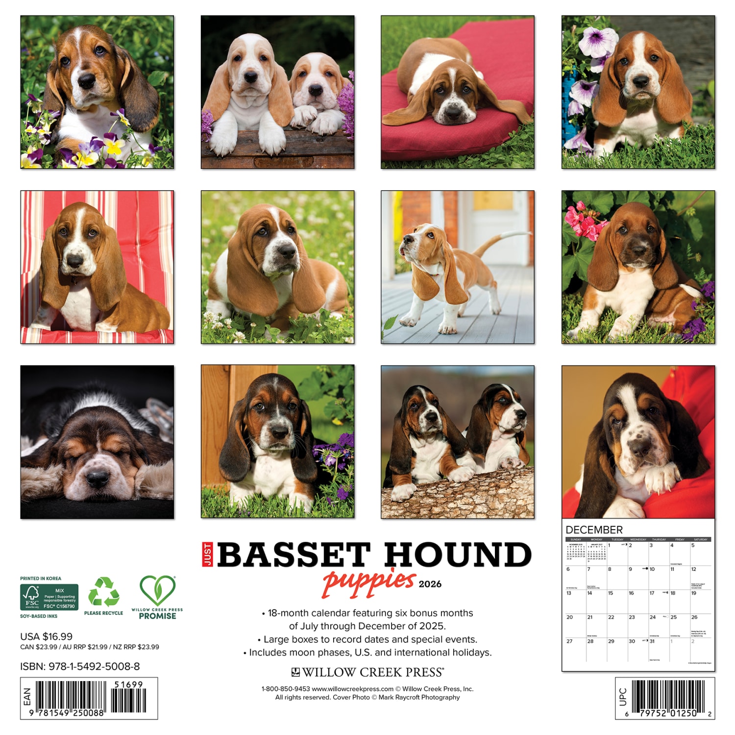 2026 Willow Creek Press Animals Monthly Wall Calendar, 12in x 12in, Basset Hound Puppies, January To December, 50088 - Image 6
