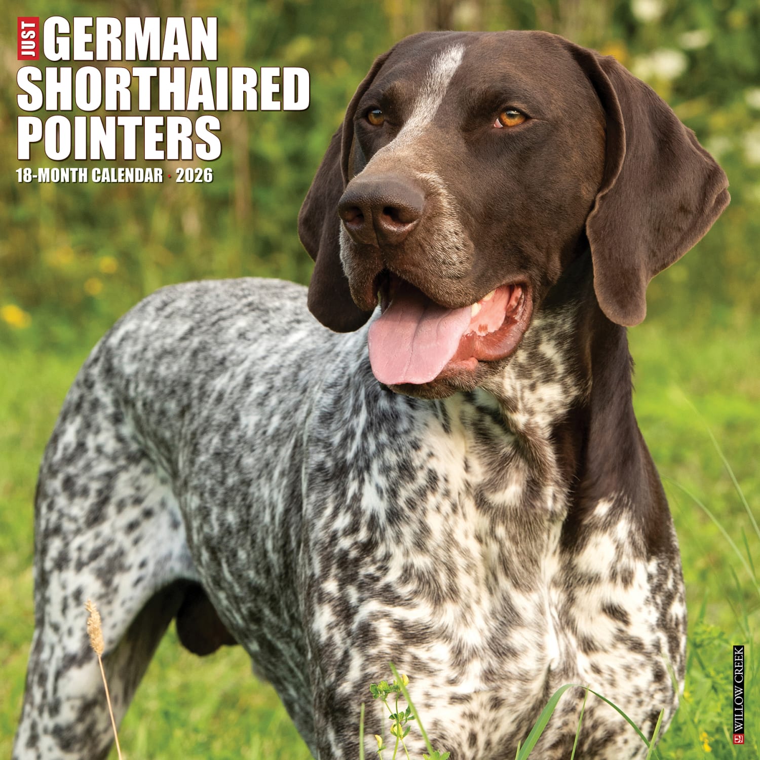 2026 Willow Creek Press Animals Monthly Wall Calendar, 12in x 12in, German Shorthaired Pointers, January To December, 51245