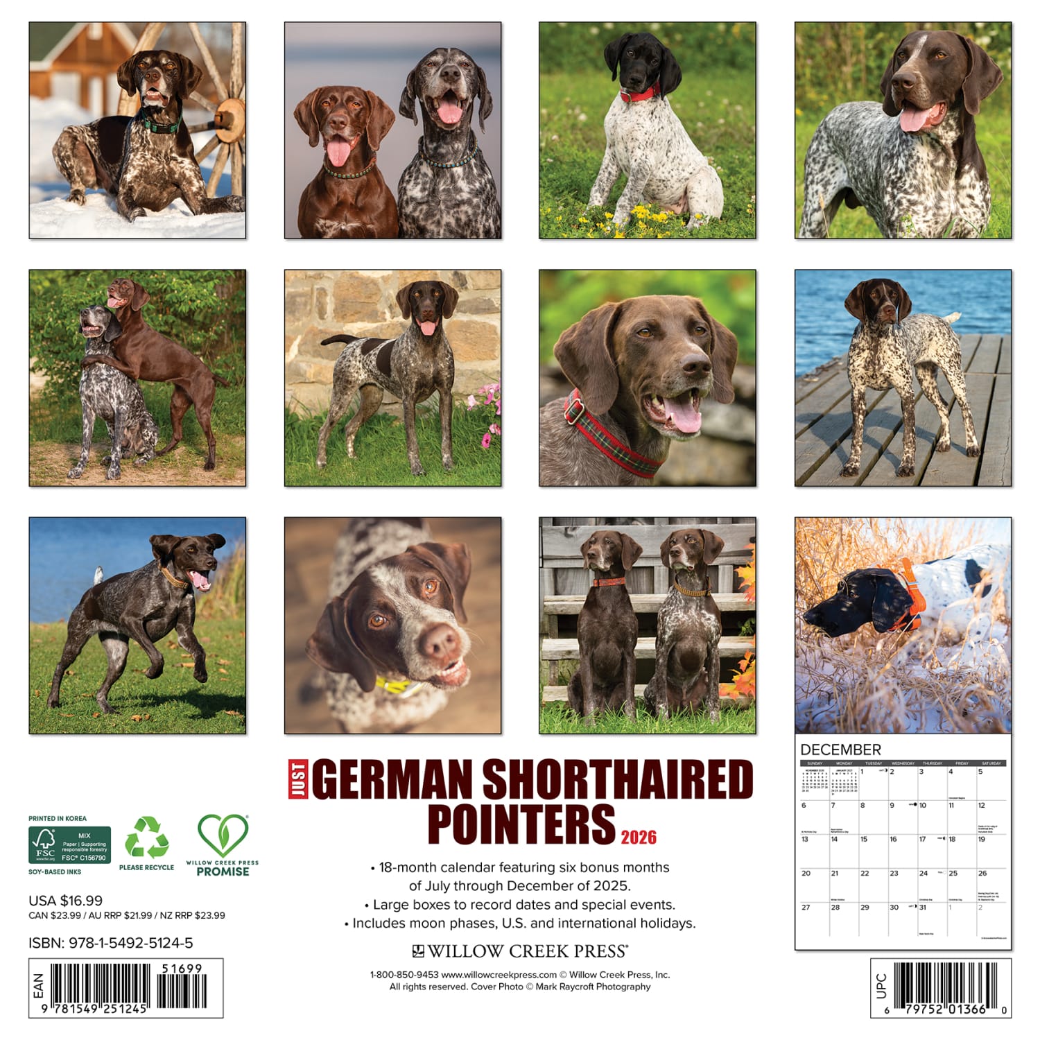 2026 Willow Creek Press Animals Monthly Wall Calendar, 12in x 12in, German Shorthaired Pointers, January To December, 51245 - Image 6