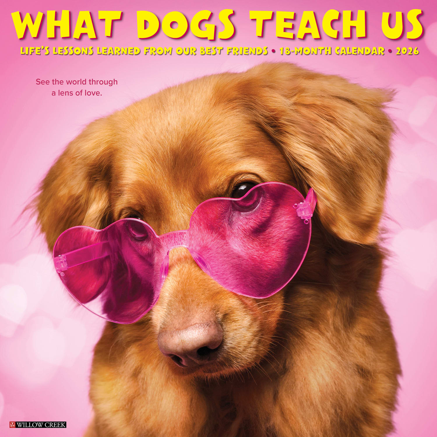 2026 Willow Creek Press Animals Monthly Wall Calendar, 12in x 12in, What Dogs Teach Us, January To December, 53164 - Image 3