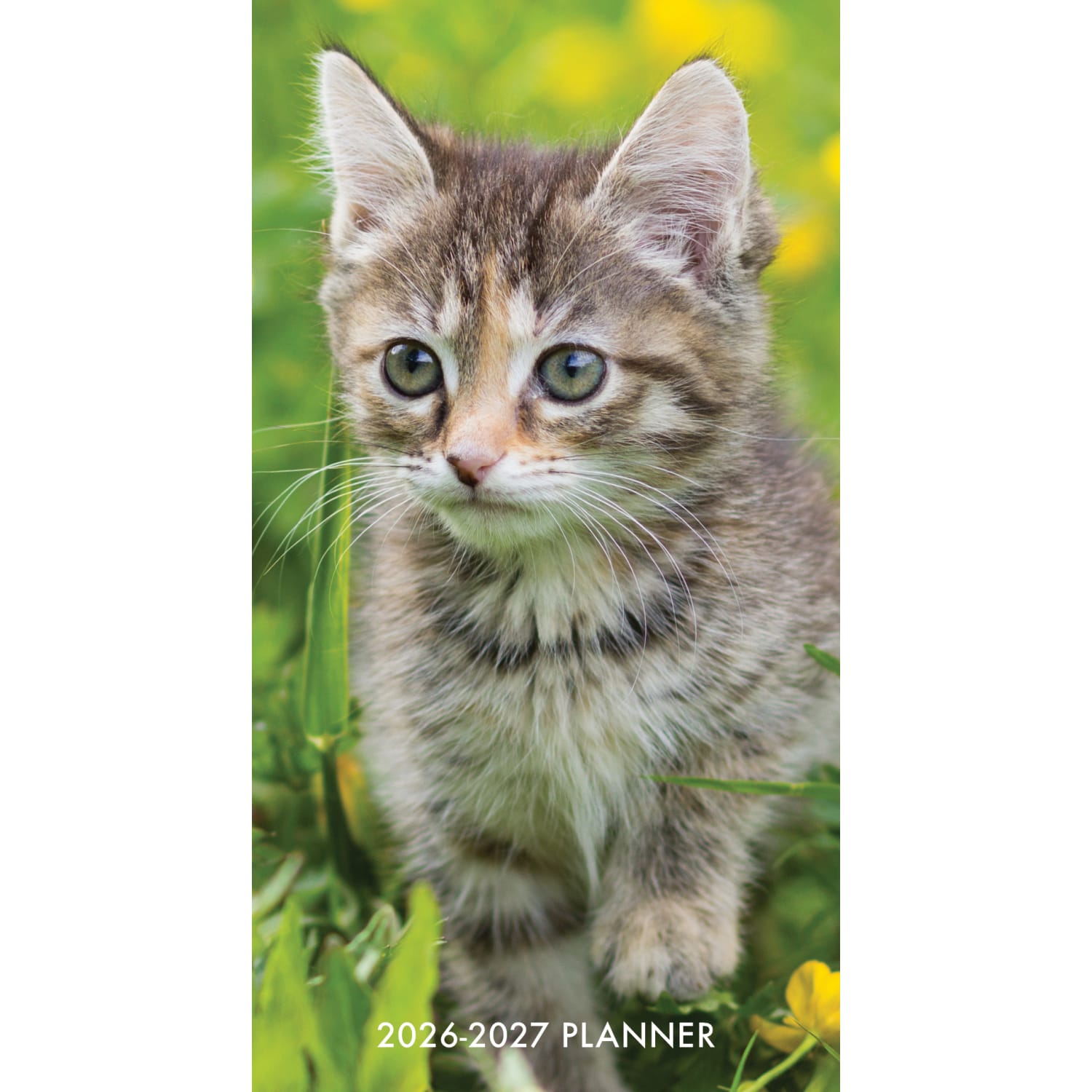 2026-2027 Willow Creek Press 2-Year Monthly Checkbook/Calendar, 3-1/2in x 6-1/2in, Cute as A Kitten, January 2026 To December 2027, 56530