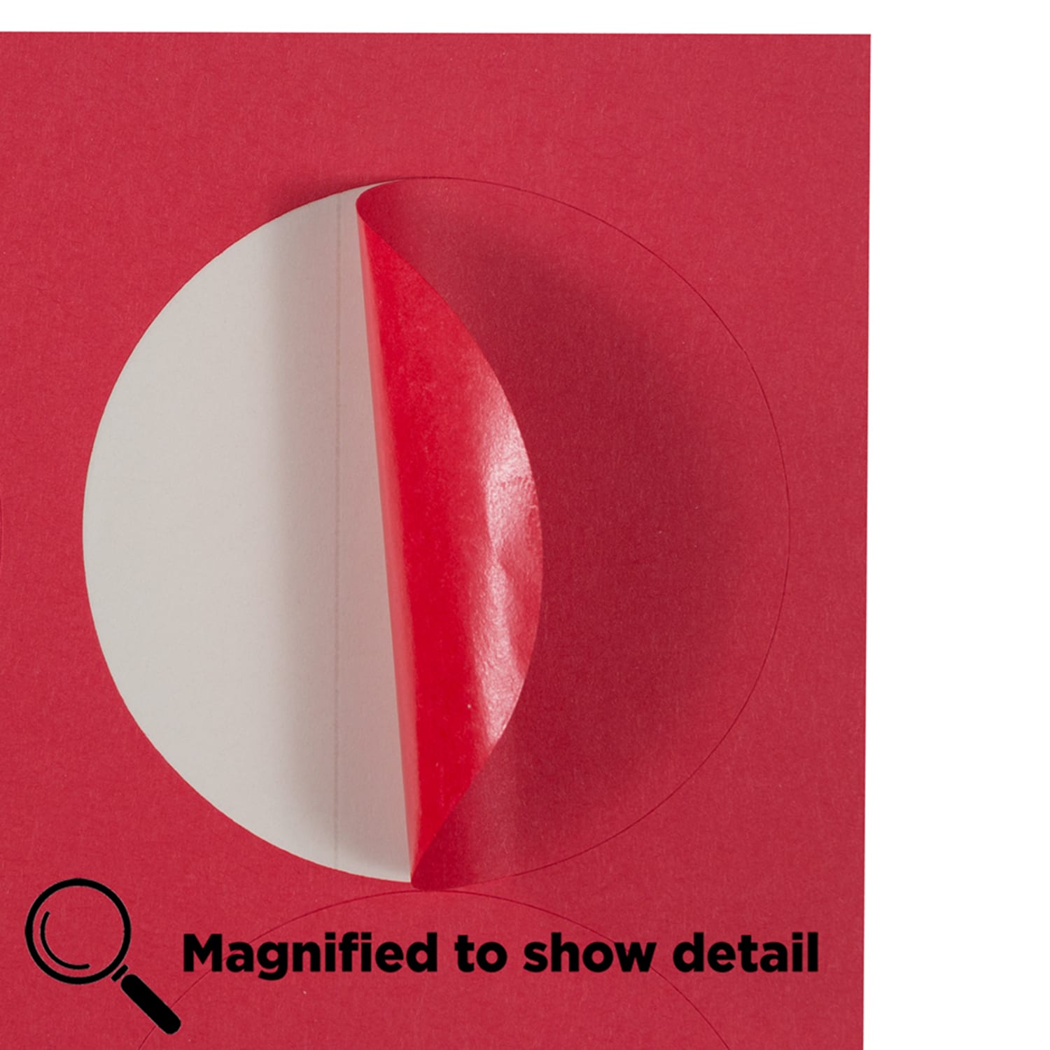 JAM Paper Circle Labels, 2-1/2in, Red, Pack Of 120 Labels - Image 5