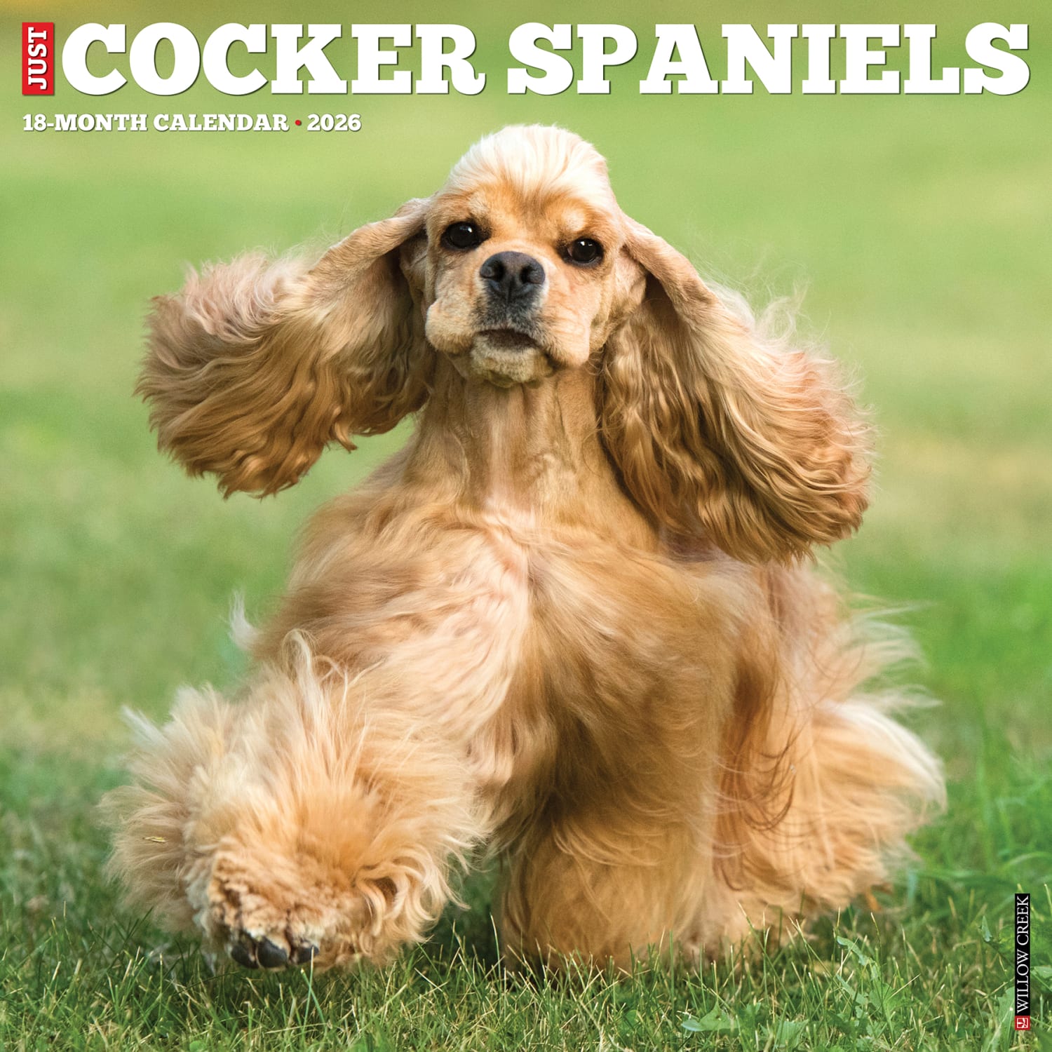 2026 Willow Creek Press Animals Monthly Wall Calendar, 12in x 12in, Cocker Spaniels, January To December, 50781 - Image 3