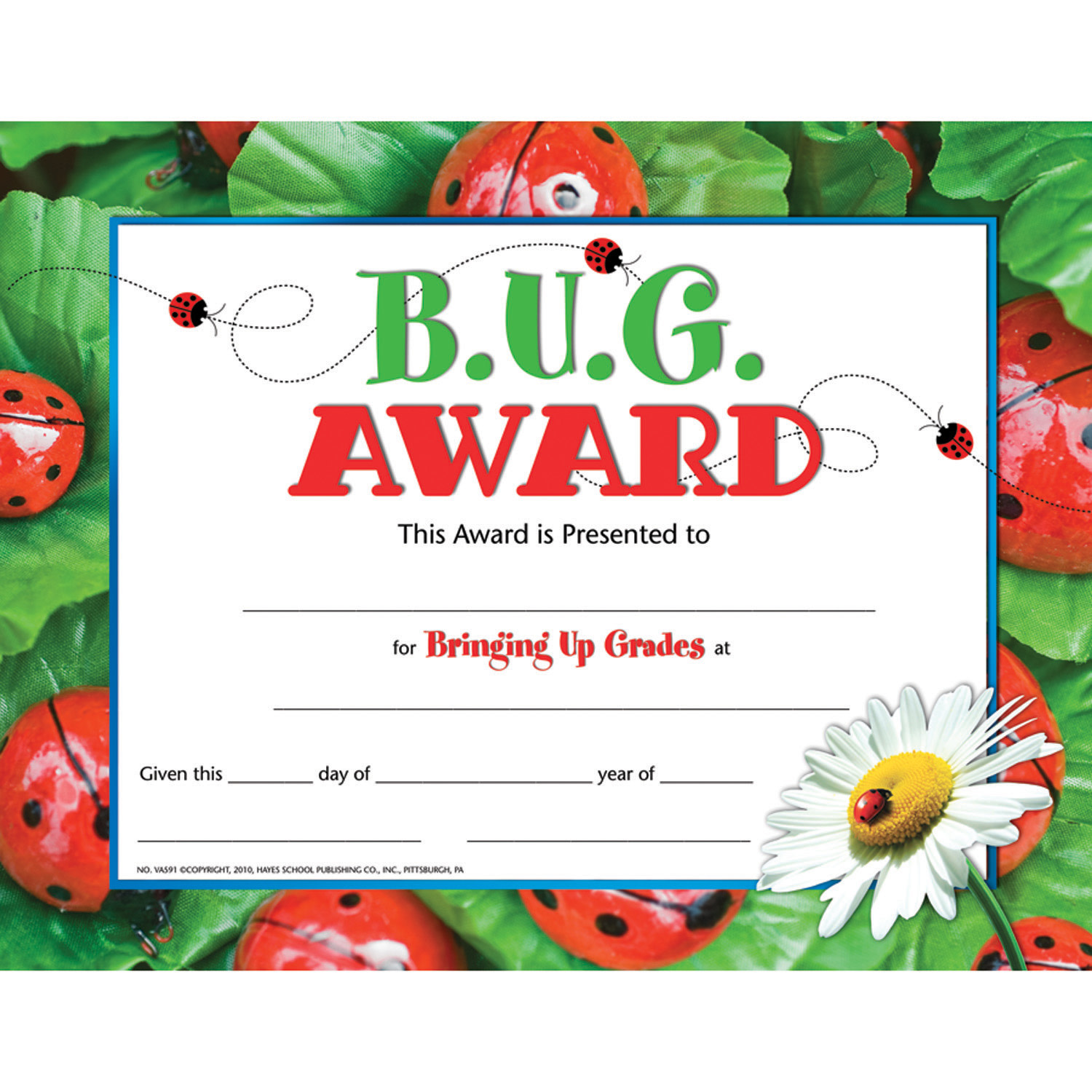 Hayes Certificates, 8-1/2in x 11in, B.U.G. Award, 30 Certificates Per Pack, Set Of 3 Packs - Image 3