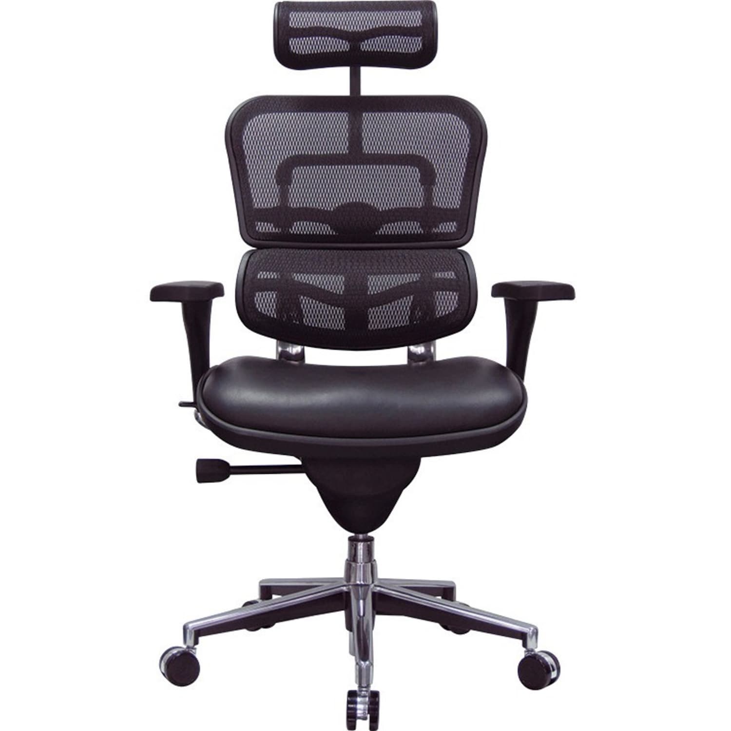 Raynor Eurotech Ergohuman Ergonomic Bonded LeatherMesh High Back Chair BlackChrome PopularChairscom