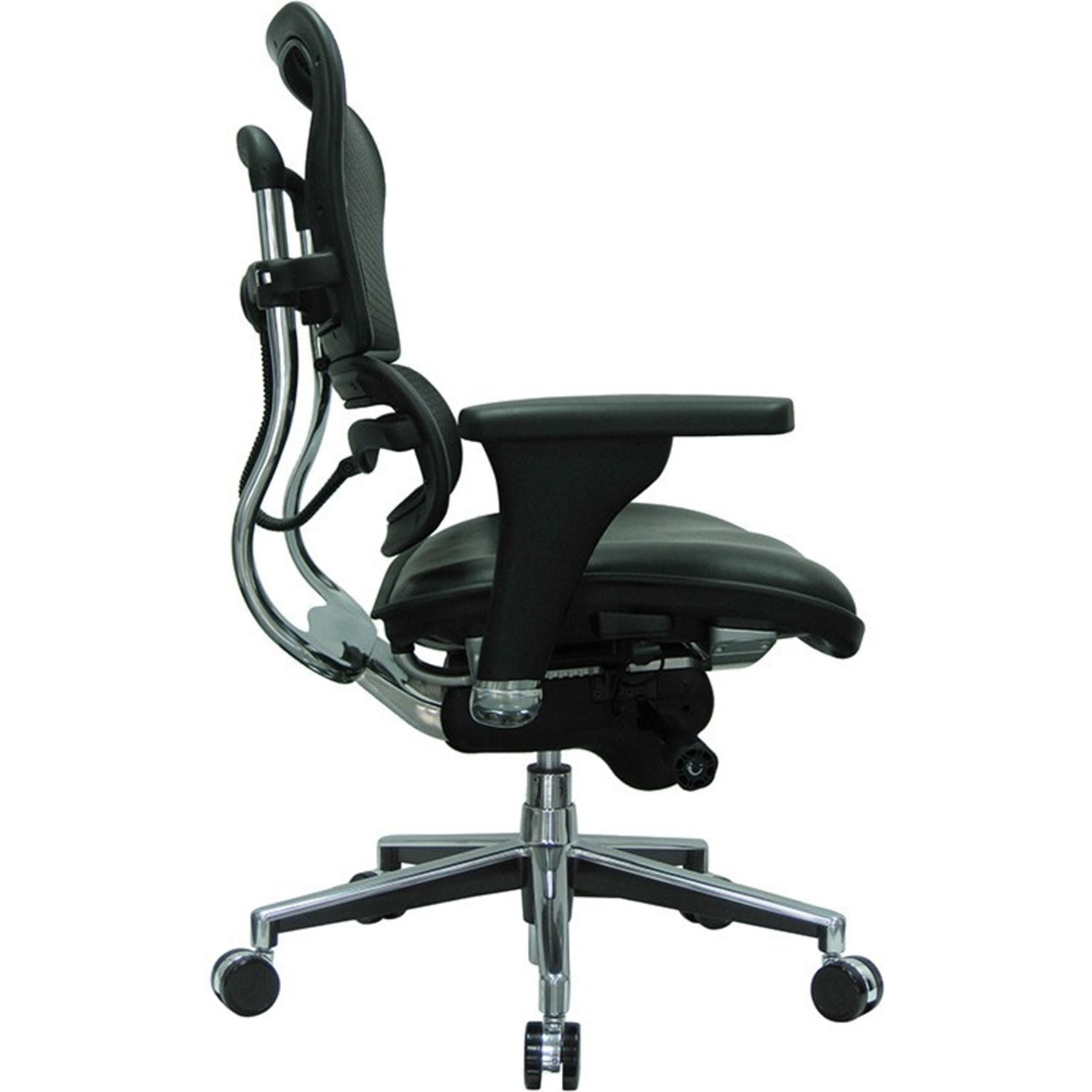 Raynor Eurotech Ergohuman Ergonomic Bonded LeatherMesh High Back Chair BlackChrome PopularChairscom