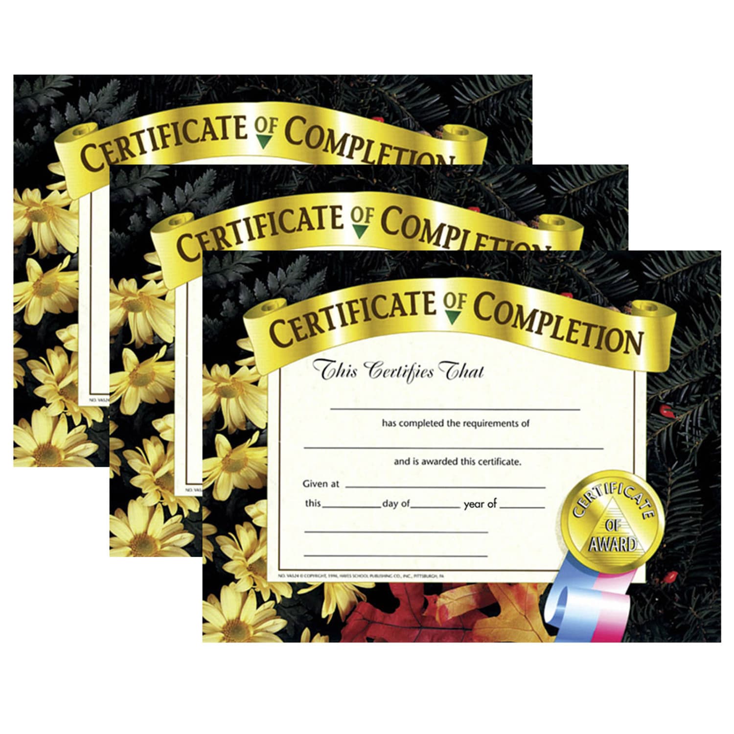 Hayes Publishing Certificate Of Completion, 8.5in x 11in, 30 Per Pack, Set Of 3 Packs, HVA5243