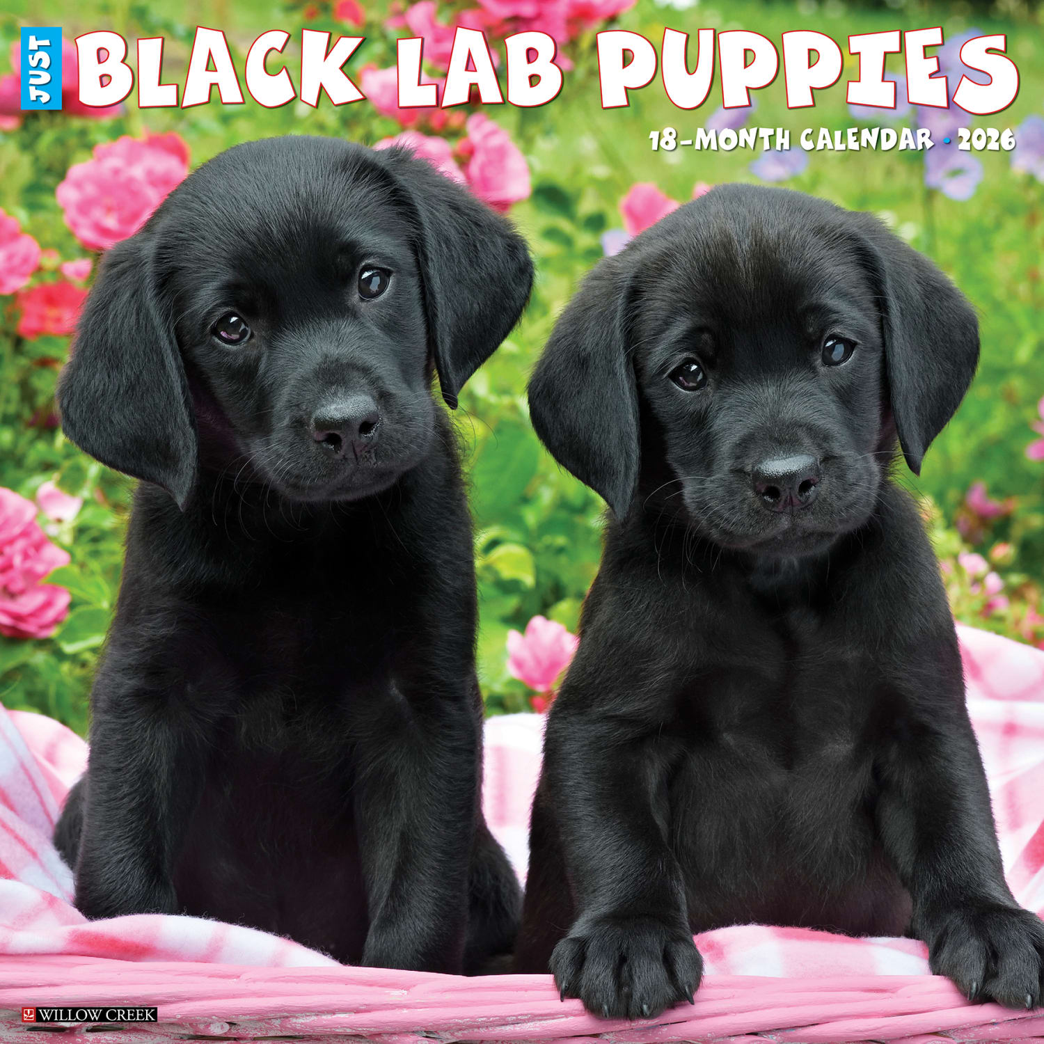 2026 Willow Creek Press Animals Monthly Wall Calendar, 12in x 12in, Black Lab Puppies, January To December, 50309 - Image 3