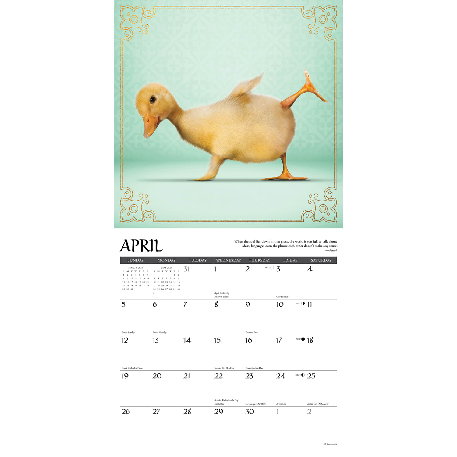 2026 Willow Creek Press Animals Monthly Wall Calendar, 12in x 12in, Farm Yoga, January To December, 51092 - Image 3