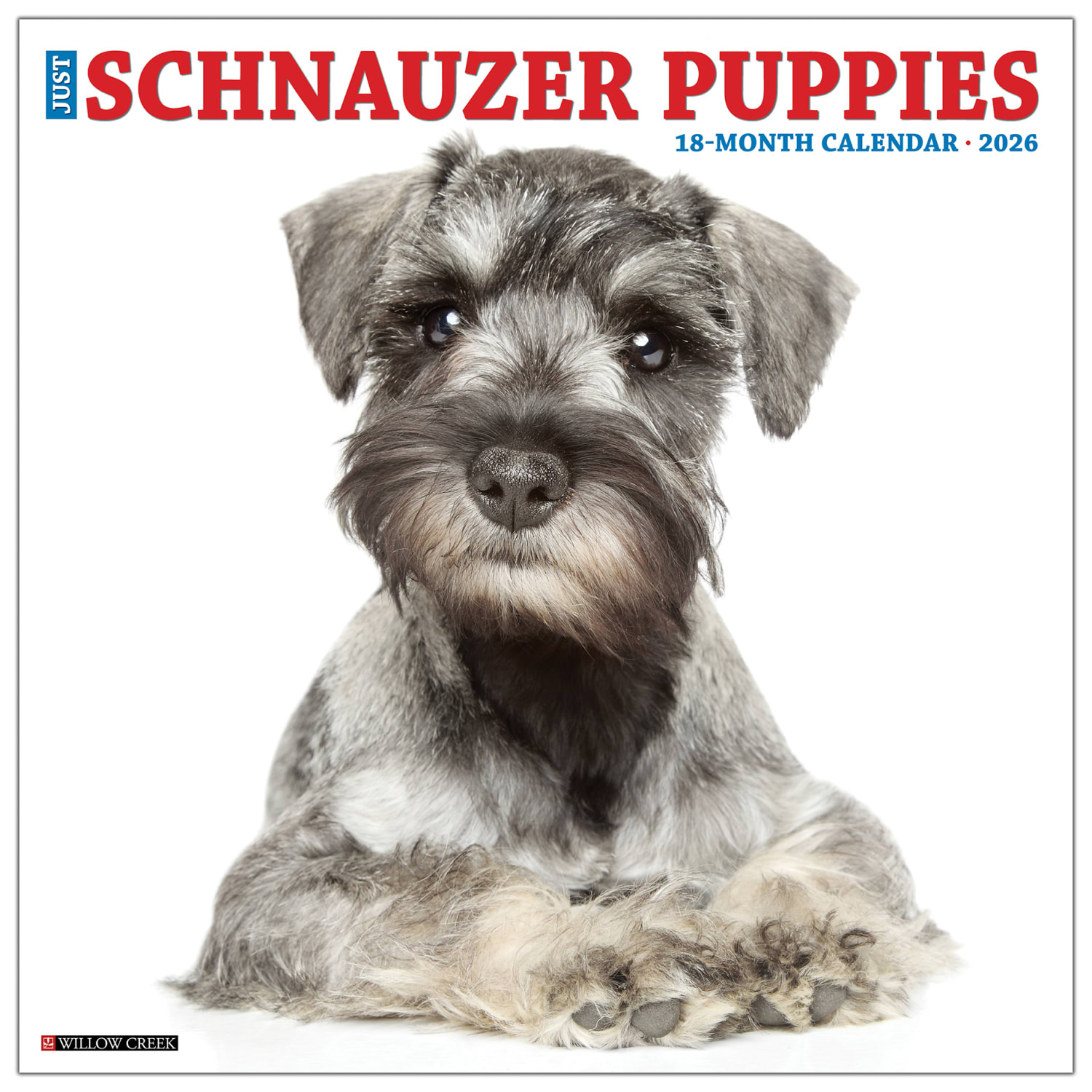 2026 Willow Creek Press Animals Monthly Wall Calendar, 12in x 12in, Schnauzer Puppies, January To December, 52679 - Image 3