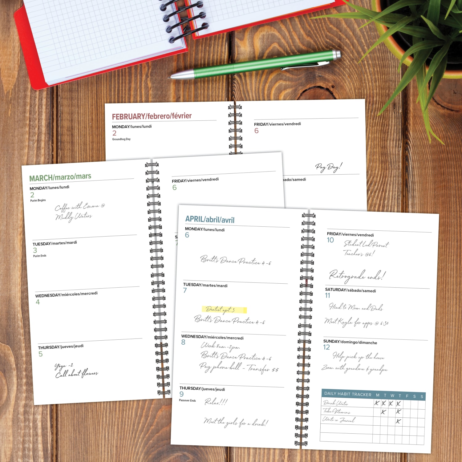 2026 Willow Creek Press Weekly/Monthly Spiral Pocket Planner, 3-1/2in x 6-1/2in, Everything Is Fine, January To December, 58428 - Image 3