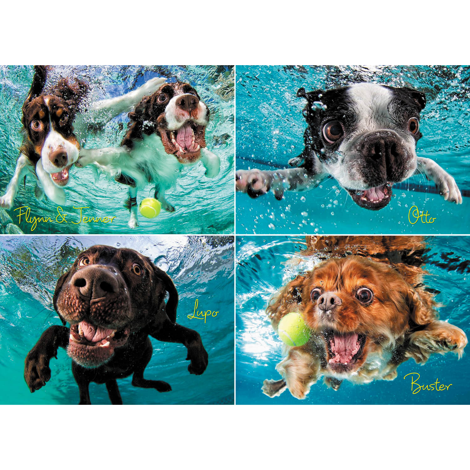 Willow Creek Press 1,000-Piece Puzzle, Underwater Dogs: Ruff Water - Image 3