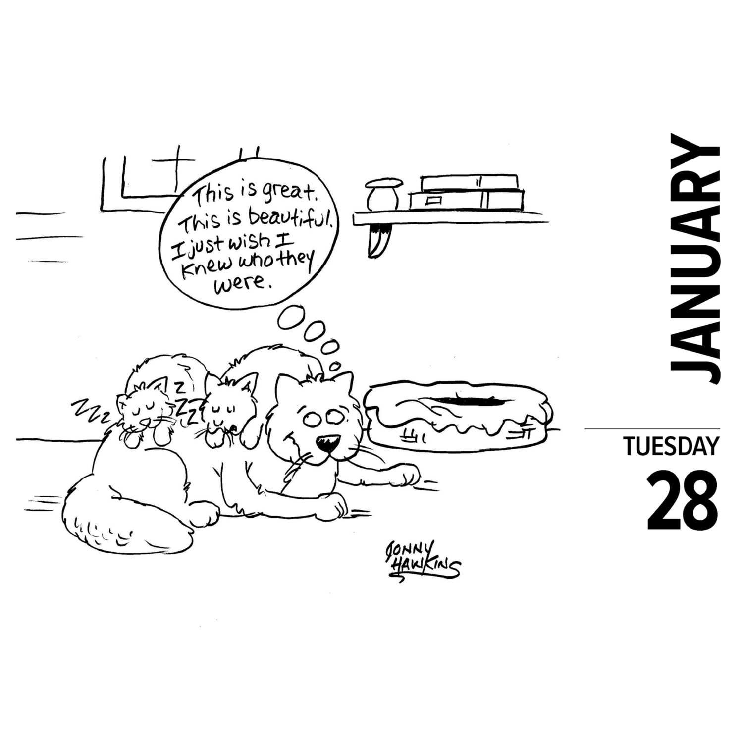 2025 Willow Creek Press Daily Desk Box Calendar, 5-1/2in x 6-1/4in, Cat Cartoon-A-Day by Jonny Hawkins, January to December 2025, 40713 - Image 3