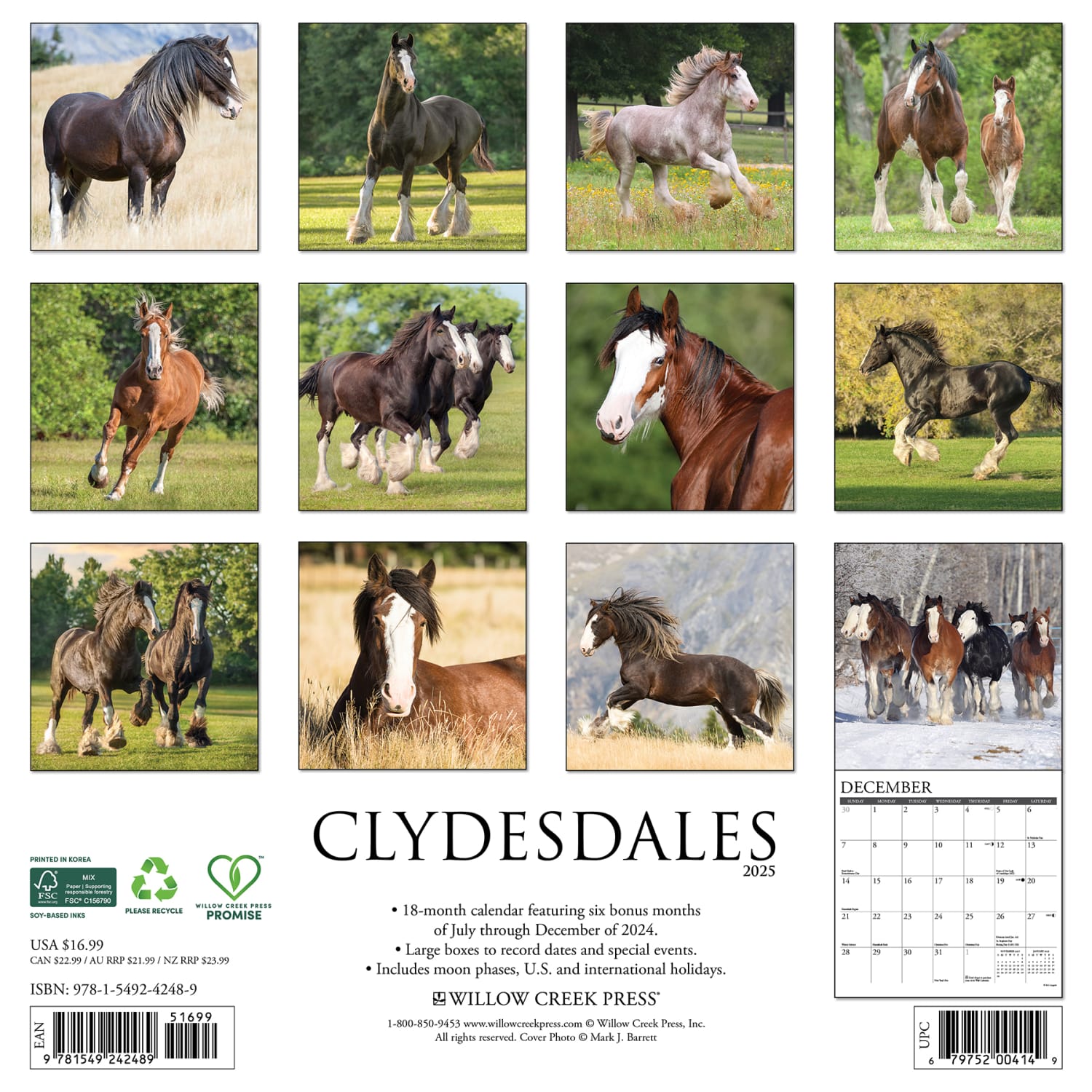 2025 Willow Creek Press Animals Monthly Wall Calendar, 12in x 12in, Clydesdales, January To December, 42489 - Image 6