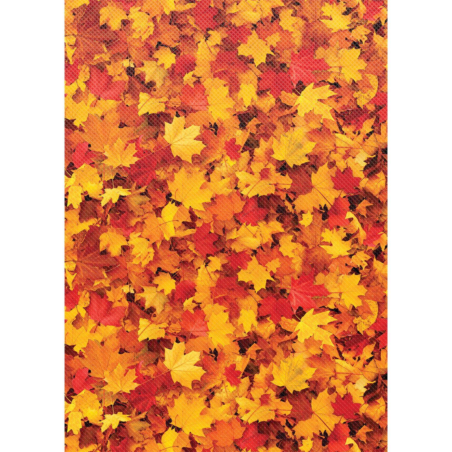 Teacher Created Resources Better Than Paper Bulletin Board Paper Rolls, 4ft x 12ft, Fall Leaves, Pack Of 4 Rolls - Image 4