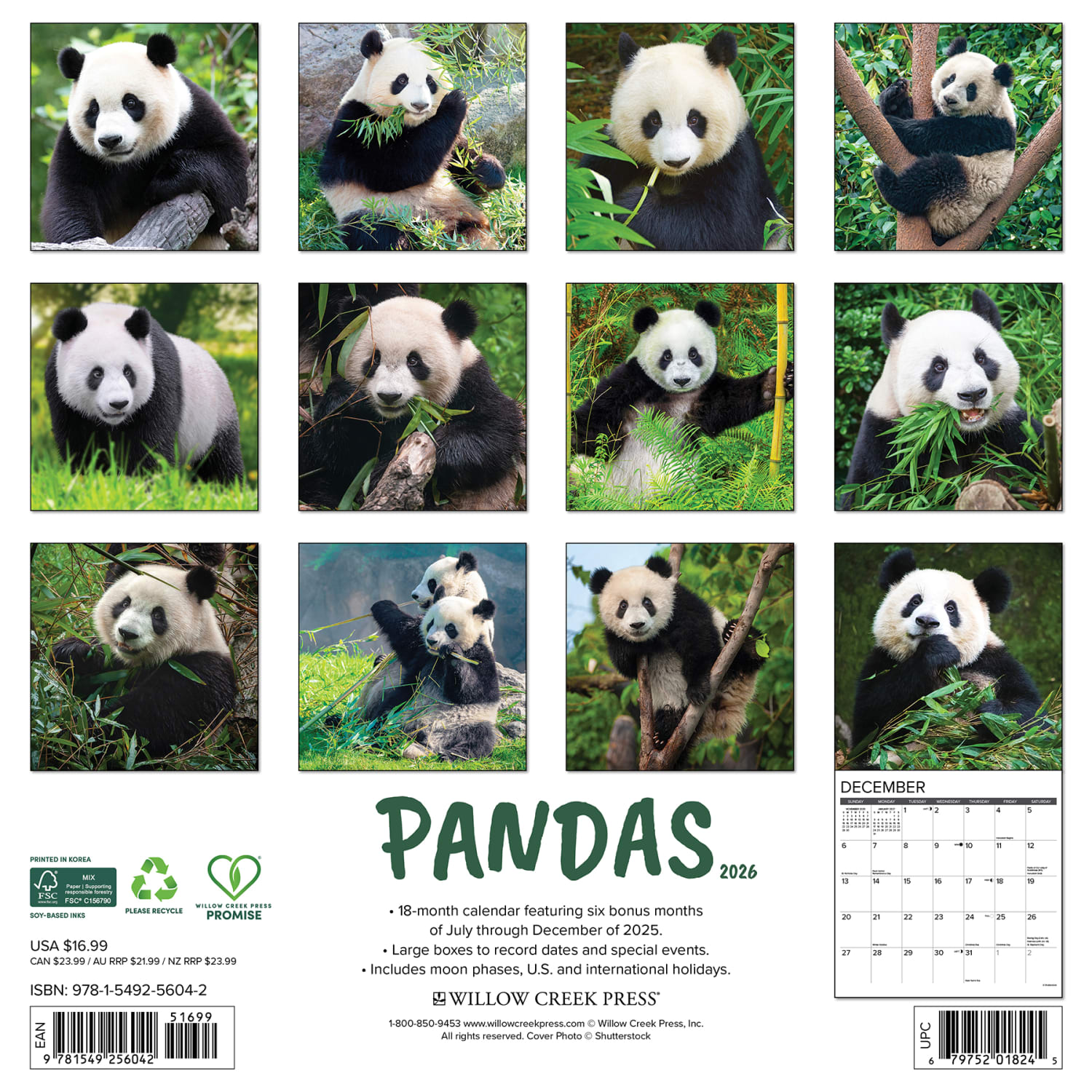 2026 Willow Creek Press Animals Monthly Wall Calendar, 12in x 12in, Pandas, January To December, 56042 - Image 6