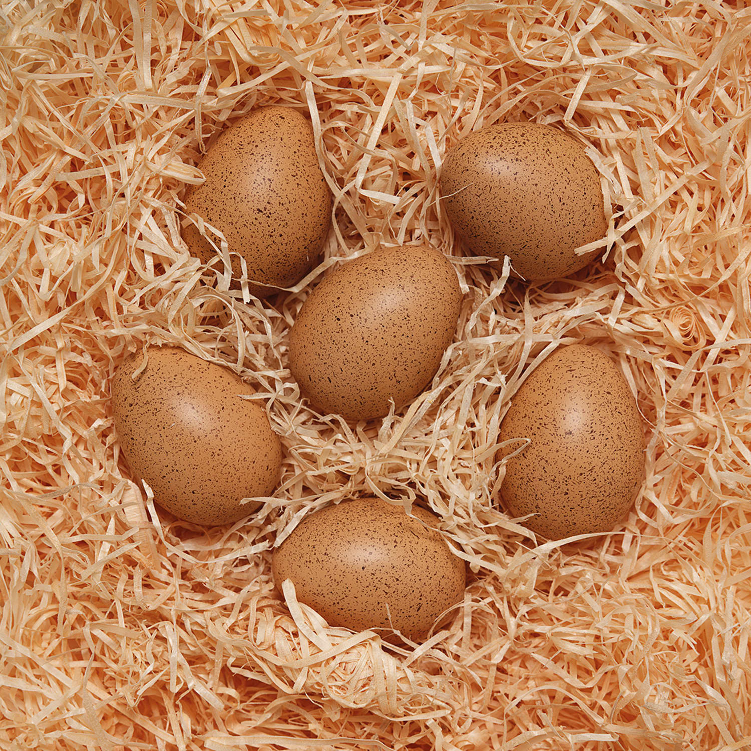 Yellow Door Sensory Sound Eggs, 2-1/2inx 1-3/4in, Speckled Brown, Grade Pre-K To K, Set Of 6 Eggs - Image 3