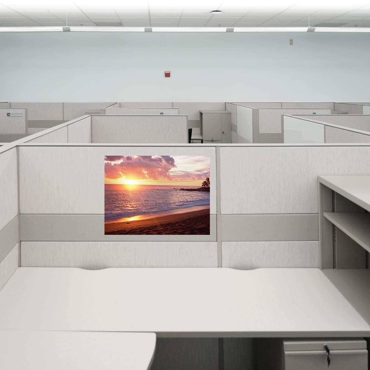 Biggies Landscape/Seascape Mural, 24in x 18in, Unframed, Sunset - Image 3