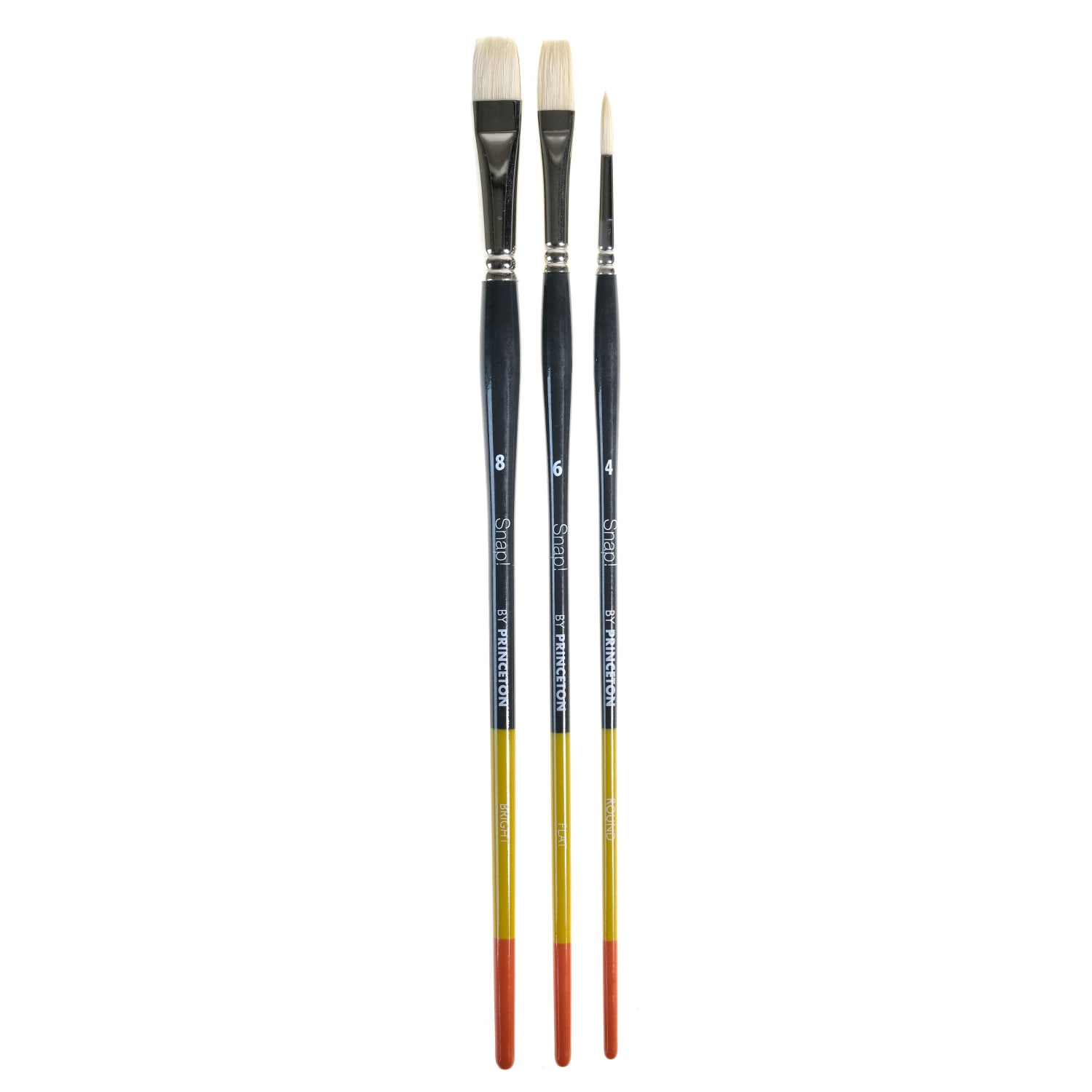 Princeton Snap Paint Brush Set, Set 4, Assorted Sizes, Assorted Bristles, Multicolor
