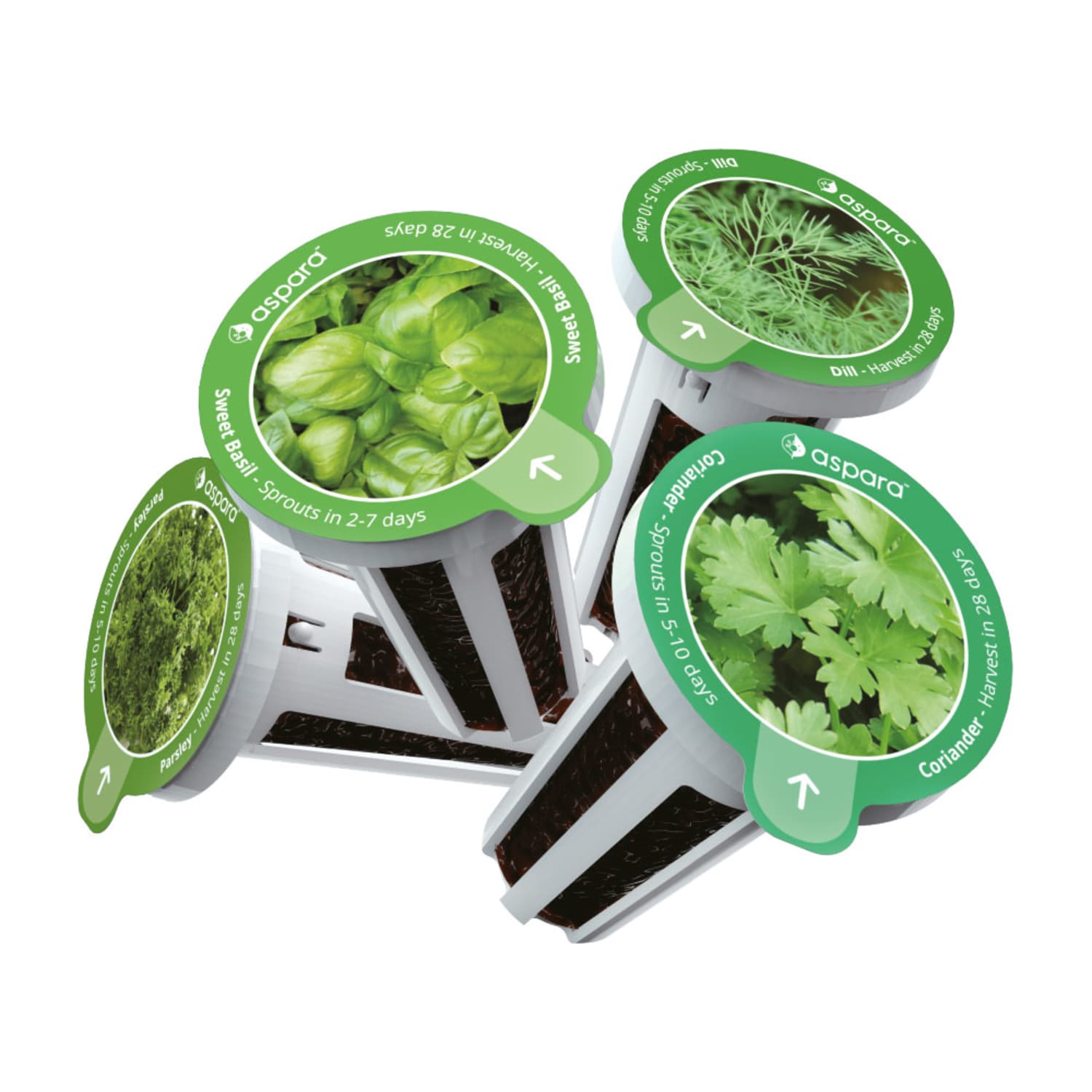 Aspara Selected Herb Seed Kit, Kit Of 8 Capsules - Image 3