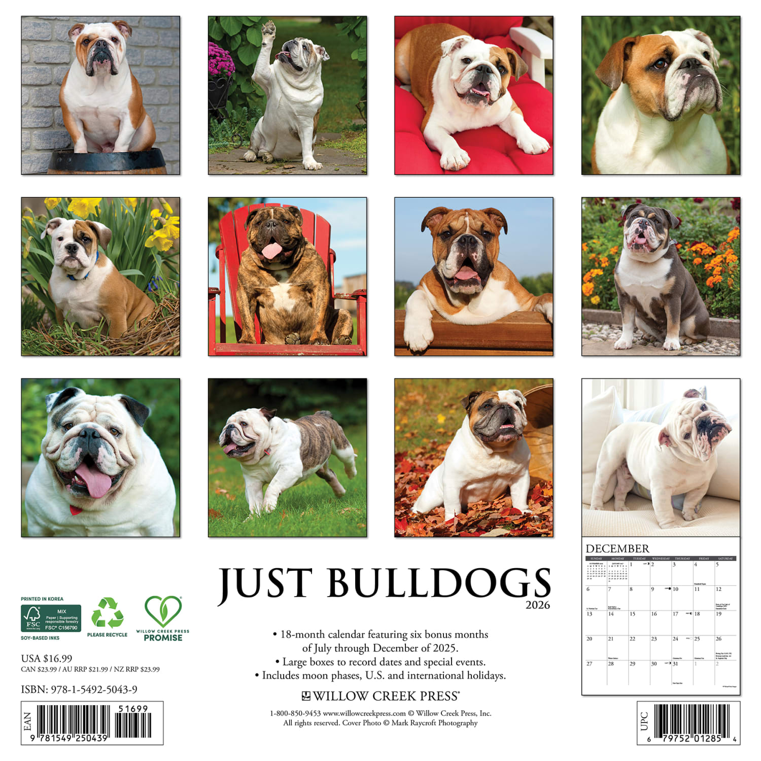 2026 Willow Creek Press Animals Monthly Wall Calendar, 12in x 12in, Bulldogs, January To December, 50439 - Image 6
