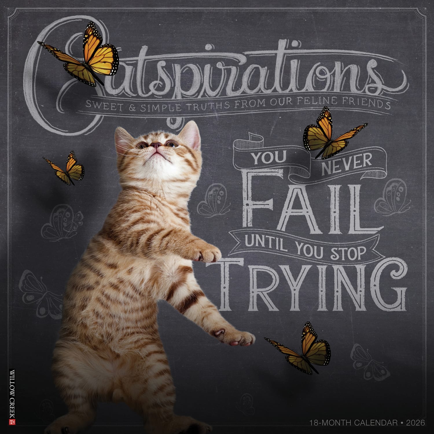 2026 Willow Creek Press Animals Monthly Wall Calendar, 12in x 12in, Catspirations, January To December, 50637 - Image 3