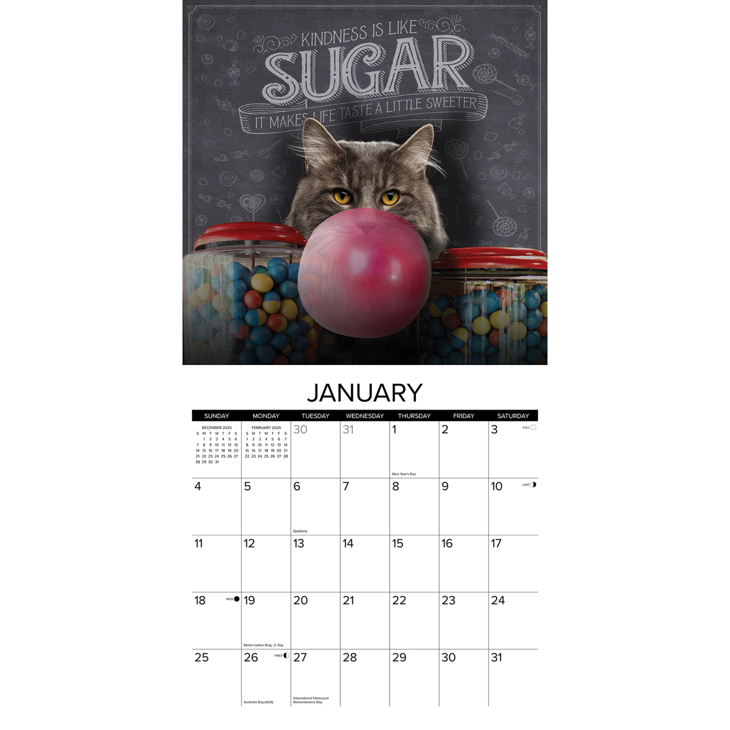2026 Willow Creek Press Animals Monthly Wall Calendar, 12in x 12in, Catspirations, January To December, 50637 - Image 3