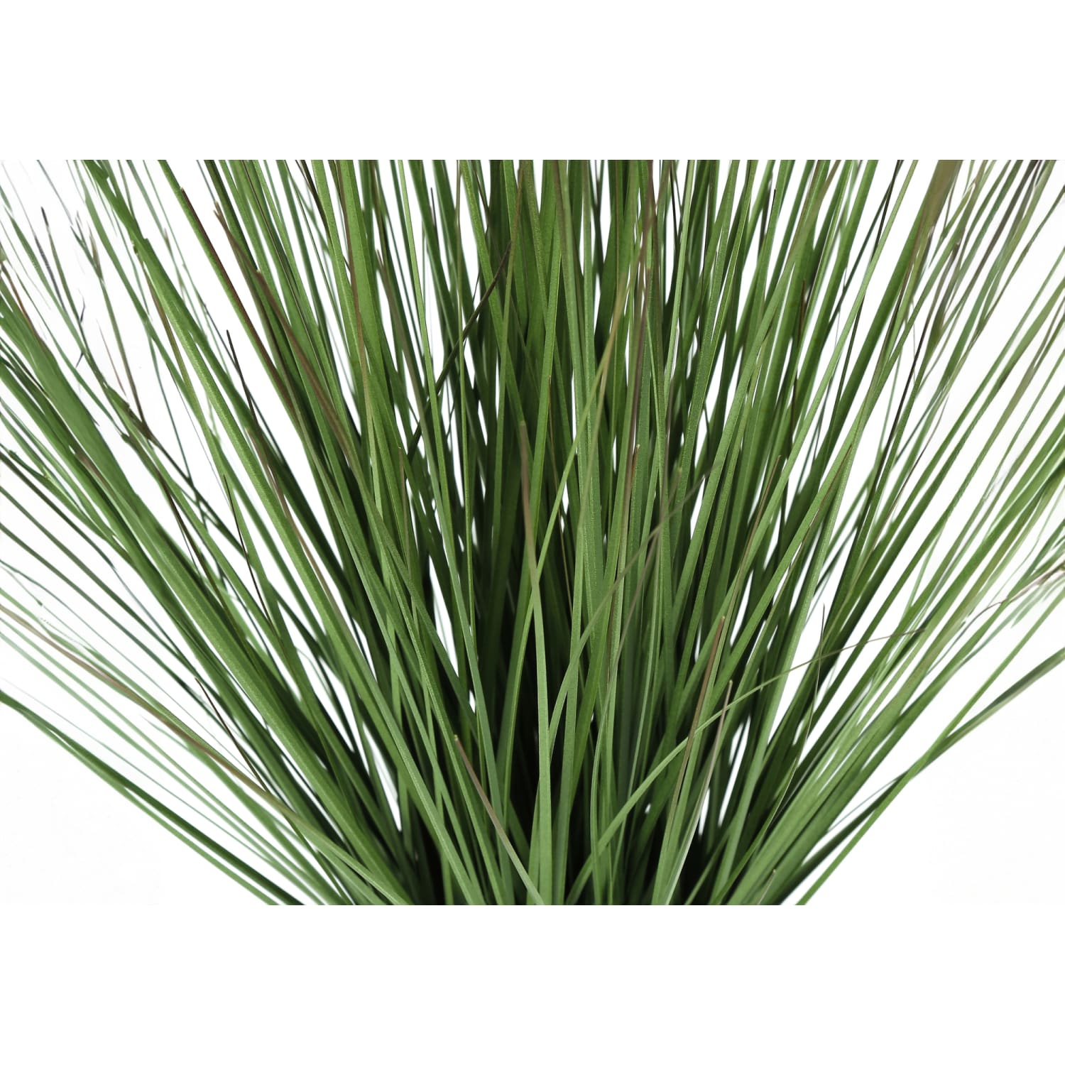 Monarch Specialties Fleur 20-1/2inH Artificial Plant With Pot, 20-1/2inH x 14inW x 14inD, Green - Image 4