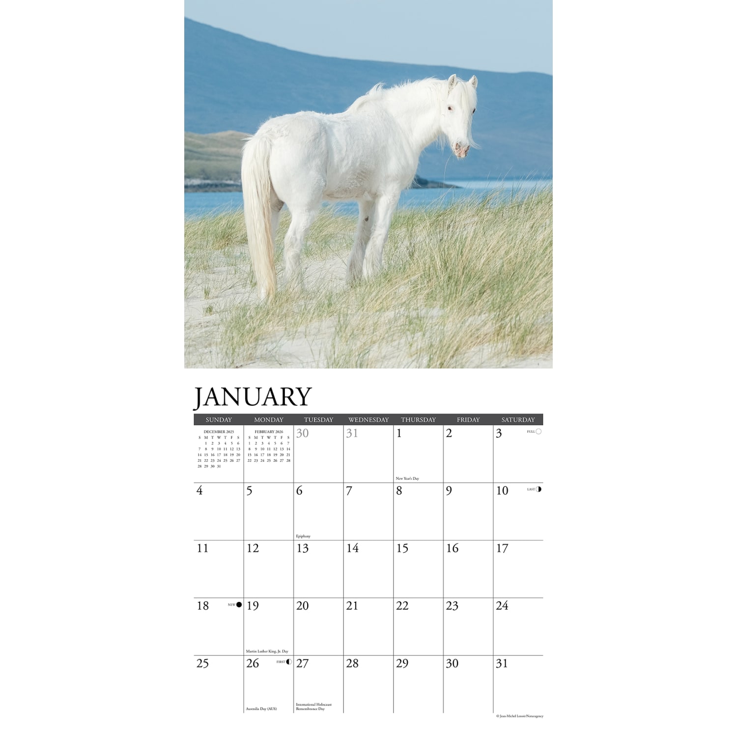 2026 Willow Creek Press Animals Monthly Wall Calendar, 12in x 12in, Wild Horses, January To December, 53287 - Image 3