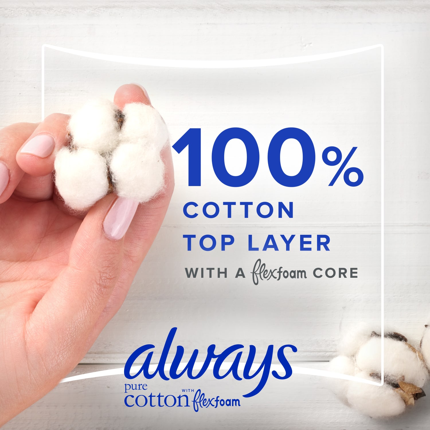 Always Pure Cotton Feminine Pads For Women With Wings, Size 2, Heavy, Unscented, 24 Pads Per Pack, Case Of 3 Packs - Image 4
