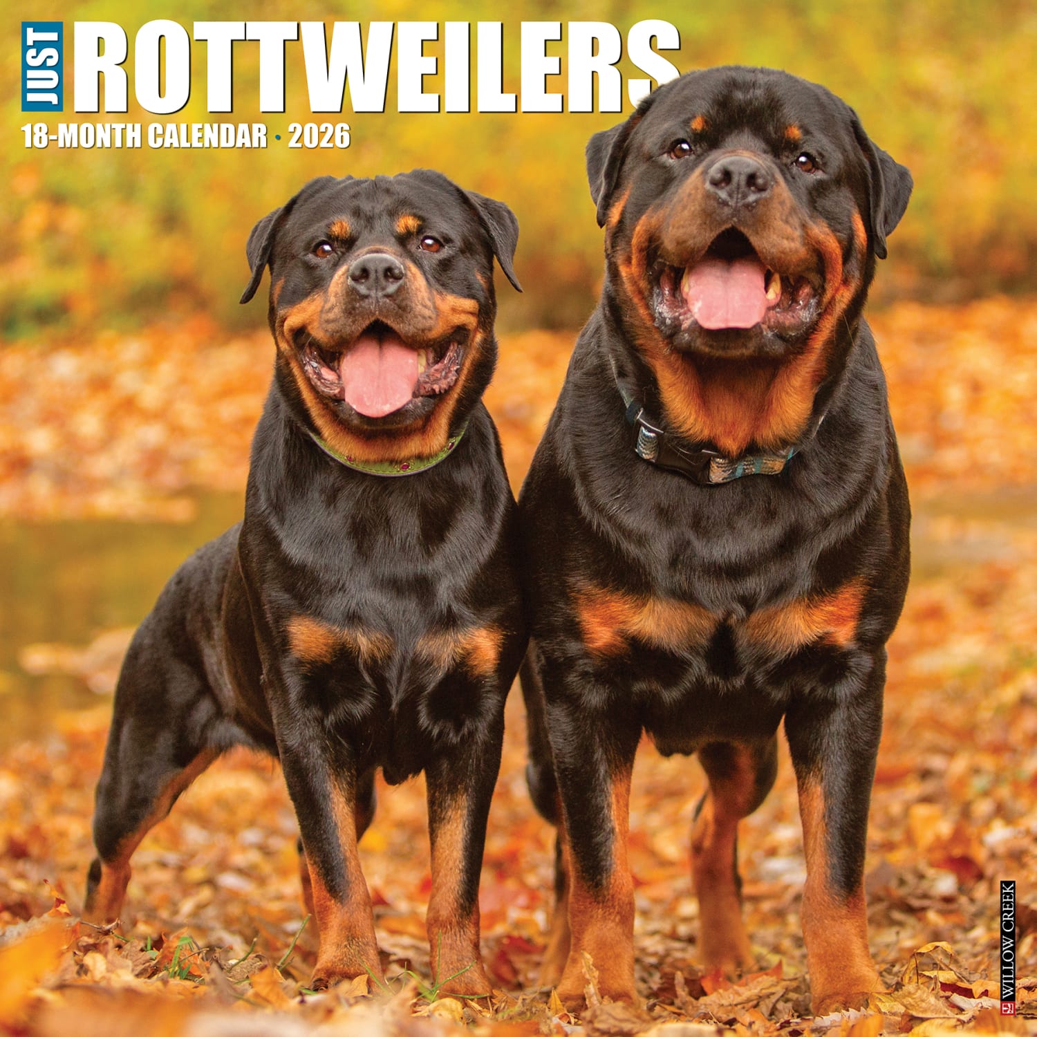 2026 Willow Creek Press Animals Monthly Wall Calendar, 12in x 12in, Rottweilers, January To December, 52617