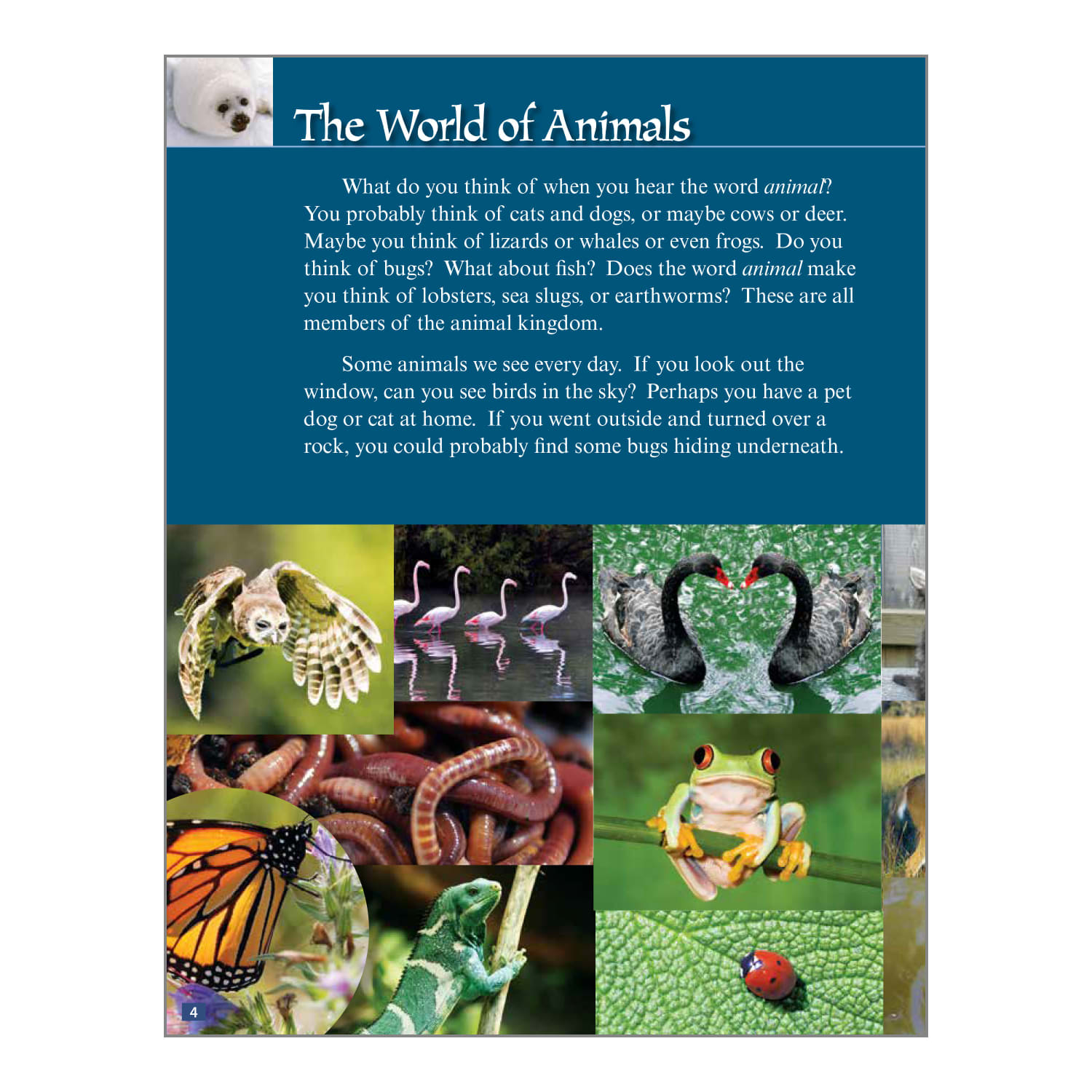 Teacher Created Materials Life Science Book Set, Grades 6 - 8, Set Of 8 Books - Image 4