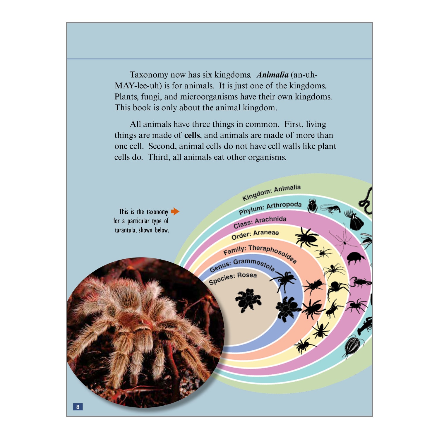 Teacher Created Materials Life Science Book Set, Grades 6 - 8, Set Of 8 Books - Image 5