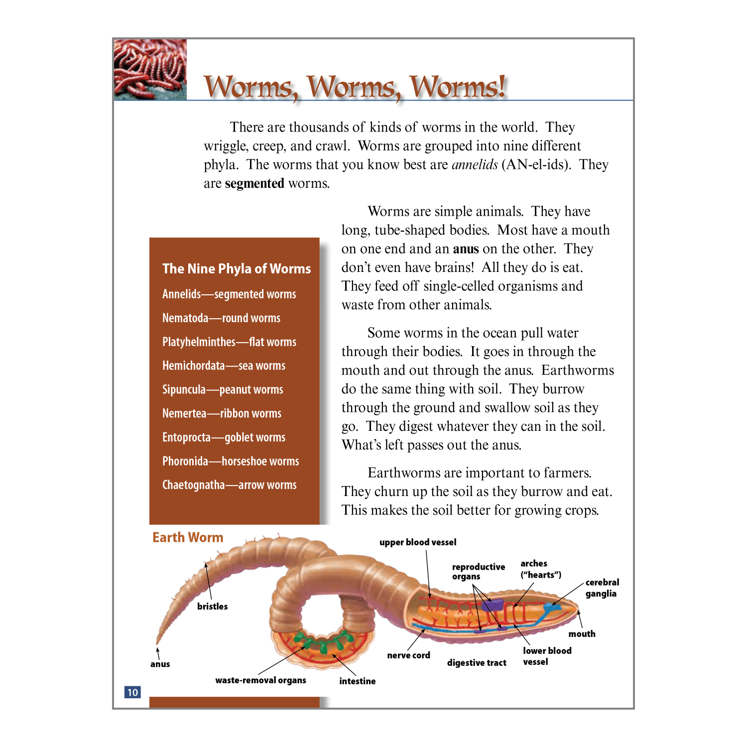 Teacher Created Materials Life Science Book Set, Grades 6 - 8, Set Of 8 Books - Image 6