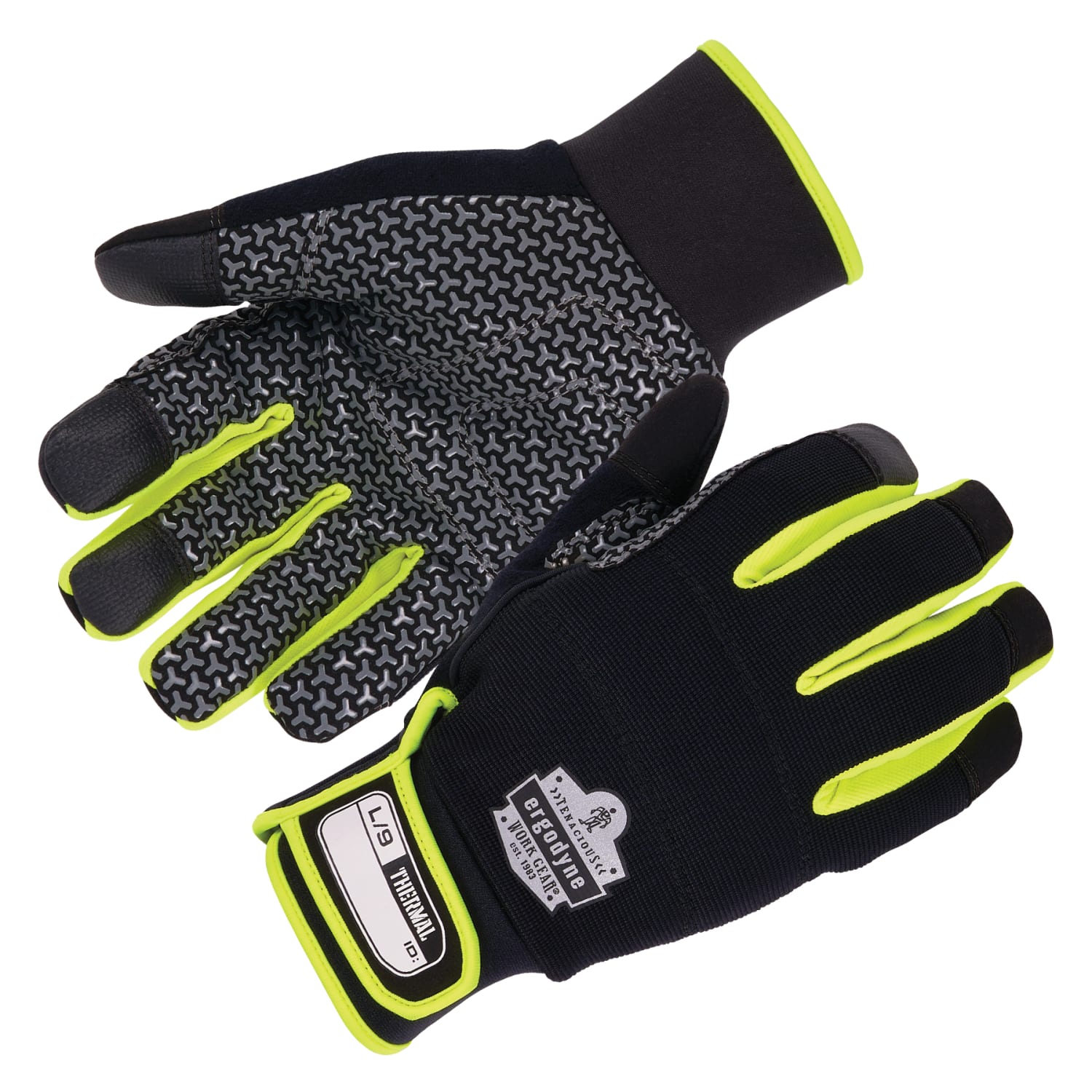 Ergodyne Proflex 850 Insulated Freezer Gloves, XS, Black