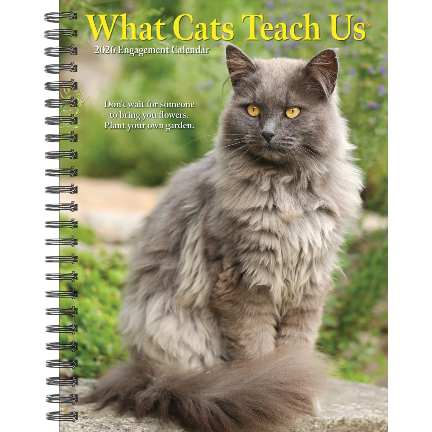 2026 Willow Creek Press Weekly Engagement Calendar, 6-1/2in x 8-1/2in, What Cats Teach Us, January To December, 54666 - Image 3