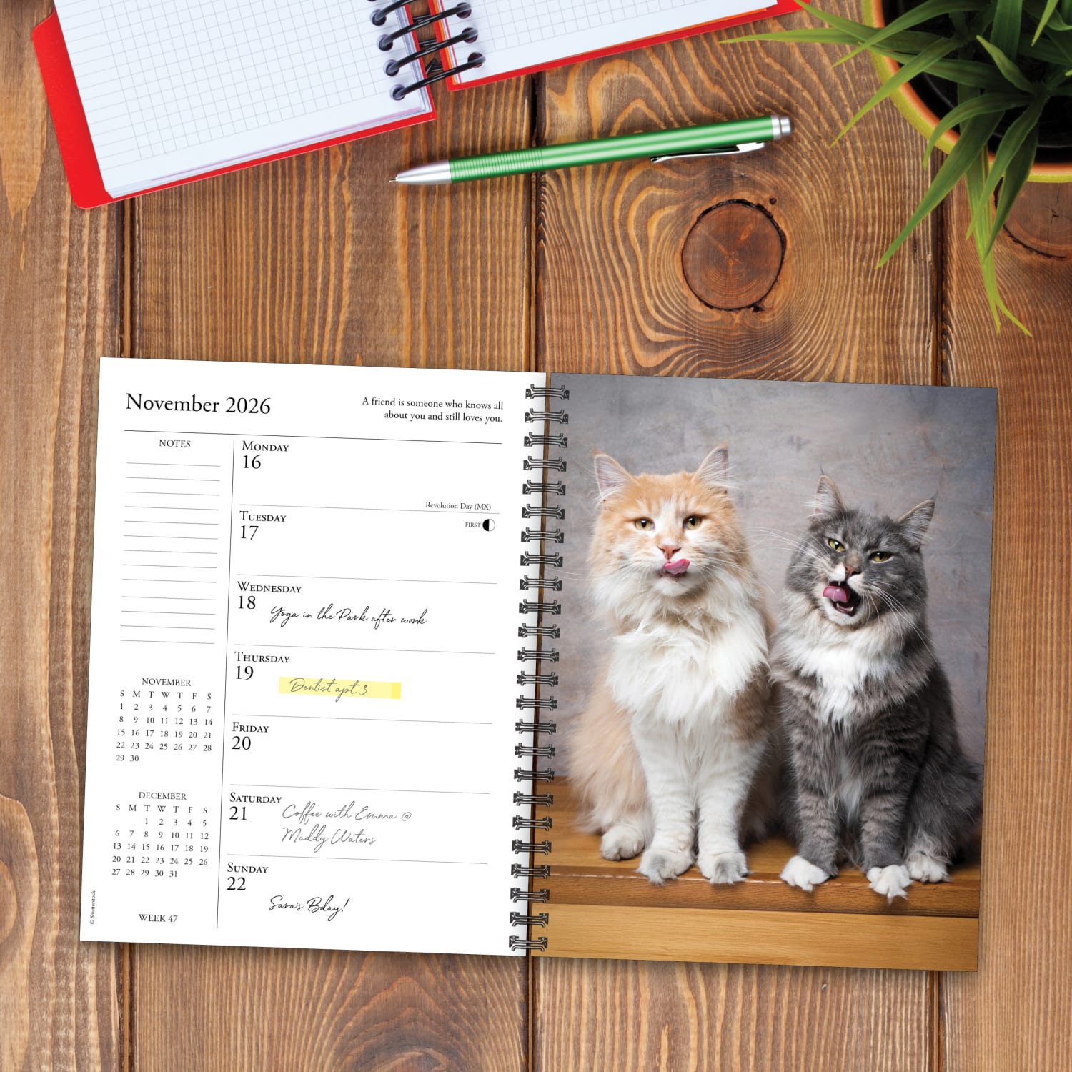 2026 Willow Creek Press Weekly Engagement Calendar, 6-1/2in x 8-1/2in, What Cats Teach Us, January To December, 54666 - Image 3