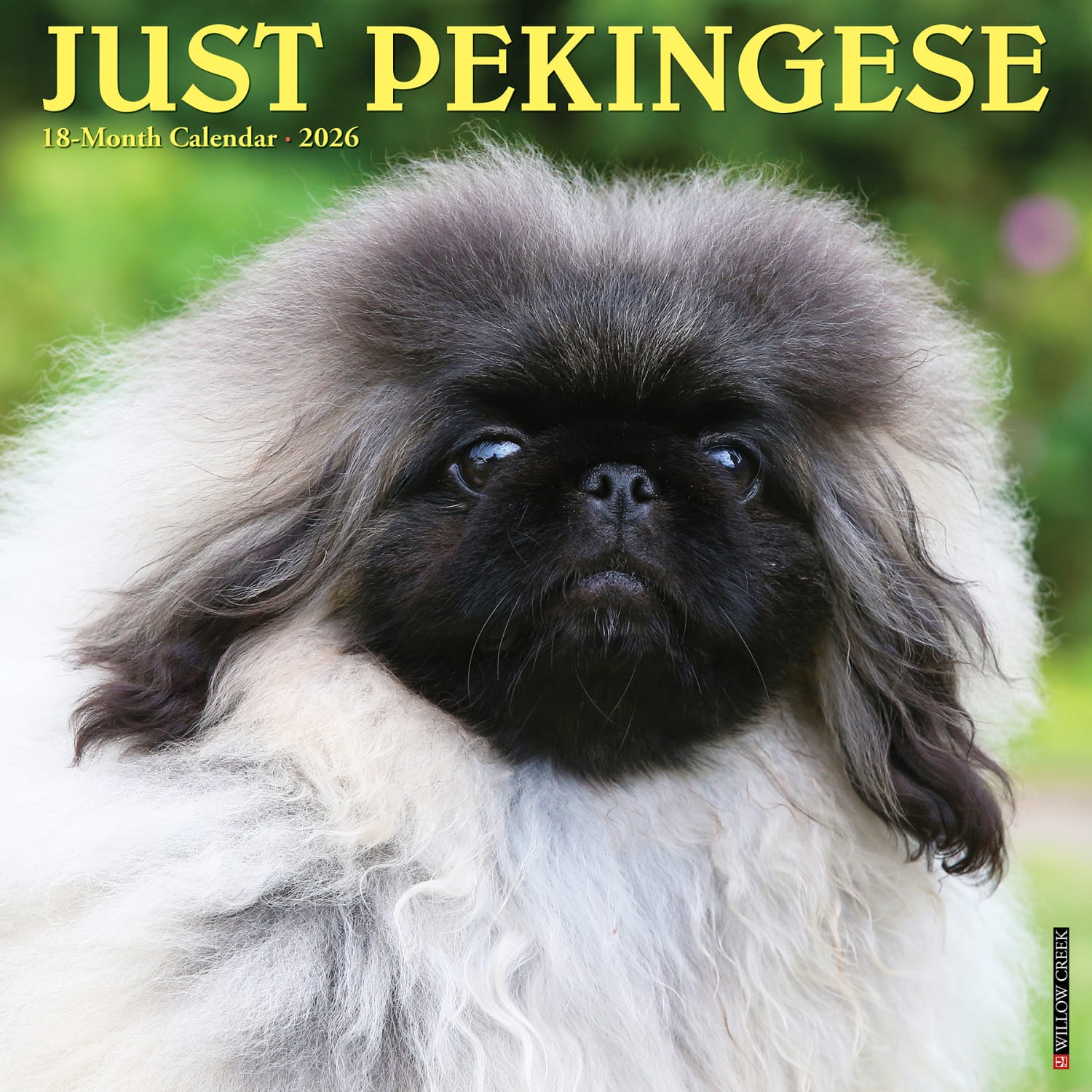2026 Willow Creek Press Animals Monthly Wall Calendar, 12in x 12in, Pekingese, January To December, 52358