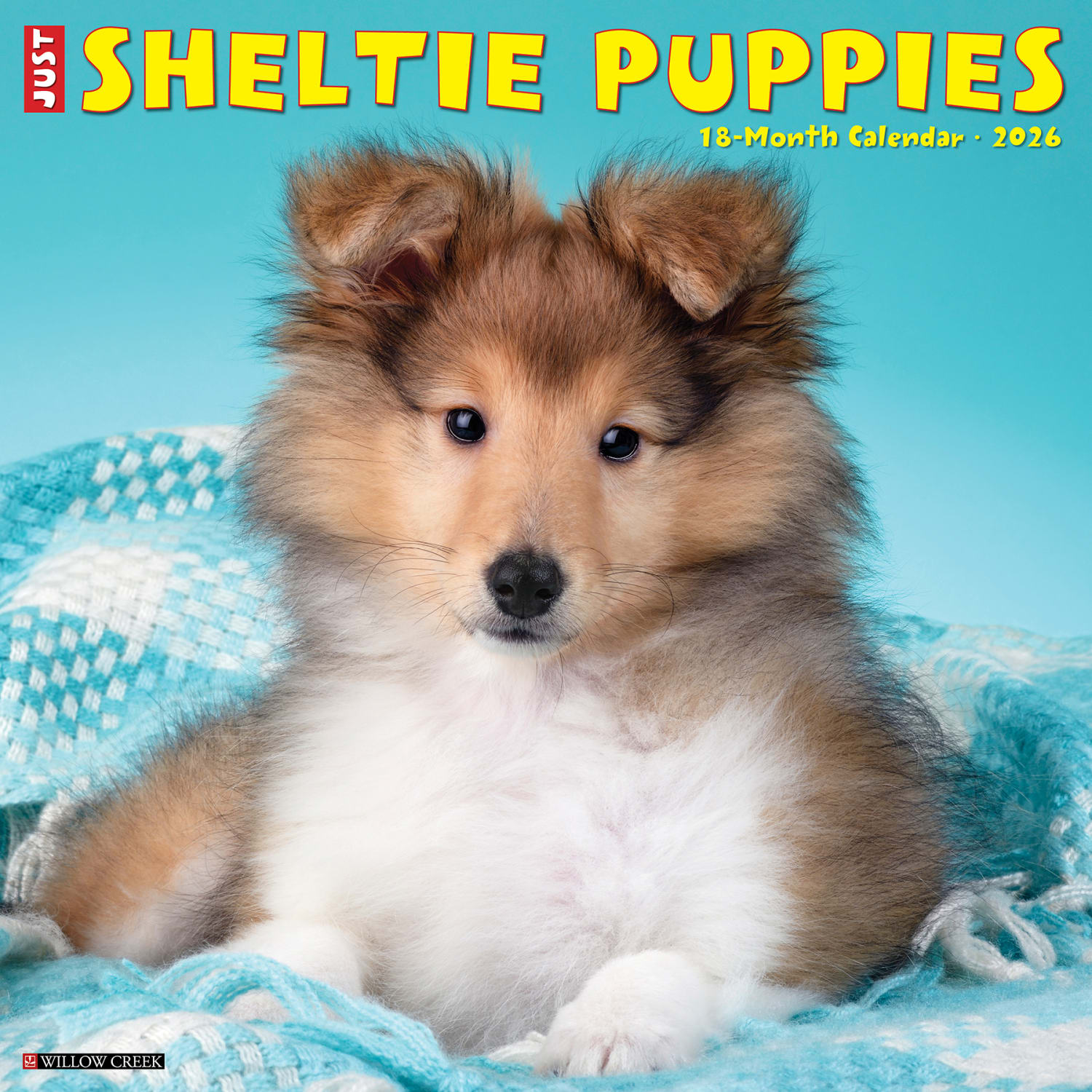 2026 Willow Creek Press Animals Monthly Wall Calendar, 12in x 12in, Sheltie Puppies, January To December, 52754 - Image 3